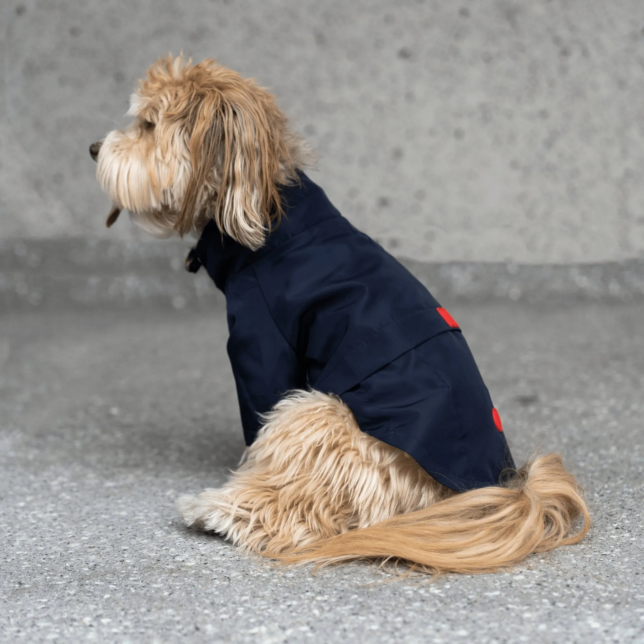 🌧️🐶 Jean-Paul Dog Raincoat – High Neck Waterproof Jacket with Adjustable Collar & Poop Bag Dispenser