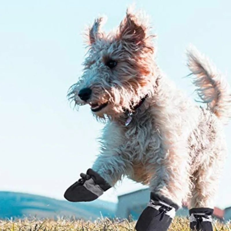 12 Pair Anti-Slip Dog Booties