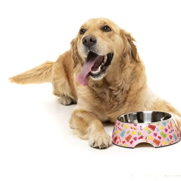 [15% OFF] Fuzzyard Jelly Bears Easy Feeder Dog Bowl (3 Sizes)