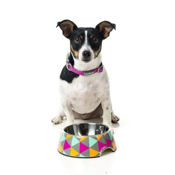 [15% OFF] Fuzzyard Pop Easy Feeder Dog Bowl (3 Sizes)