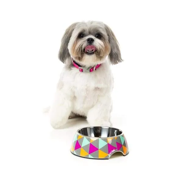 [15% OFF] Fuzzyard Pop Easy Feeder Dog Bowl (3 Sizes)