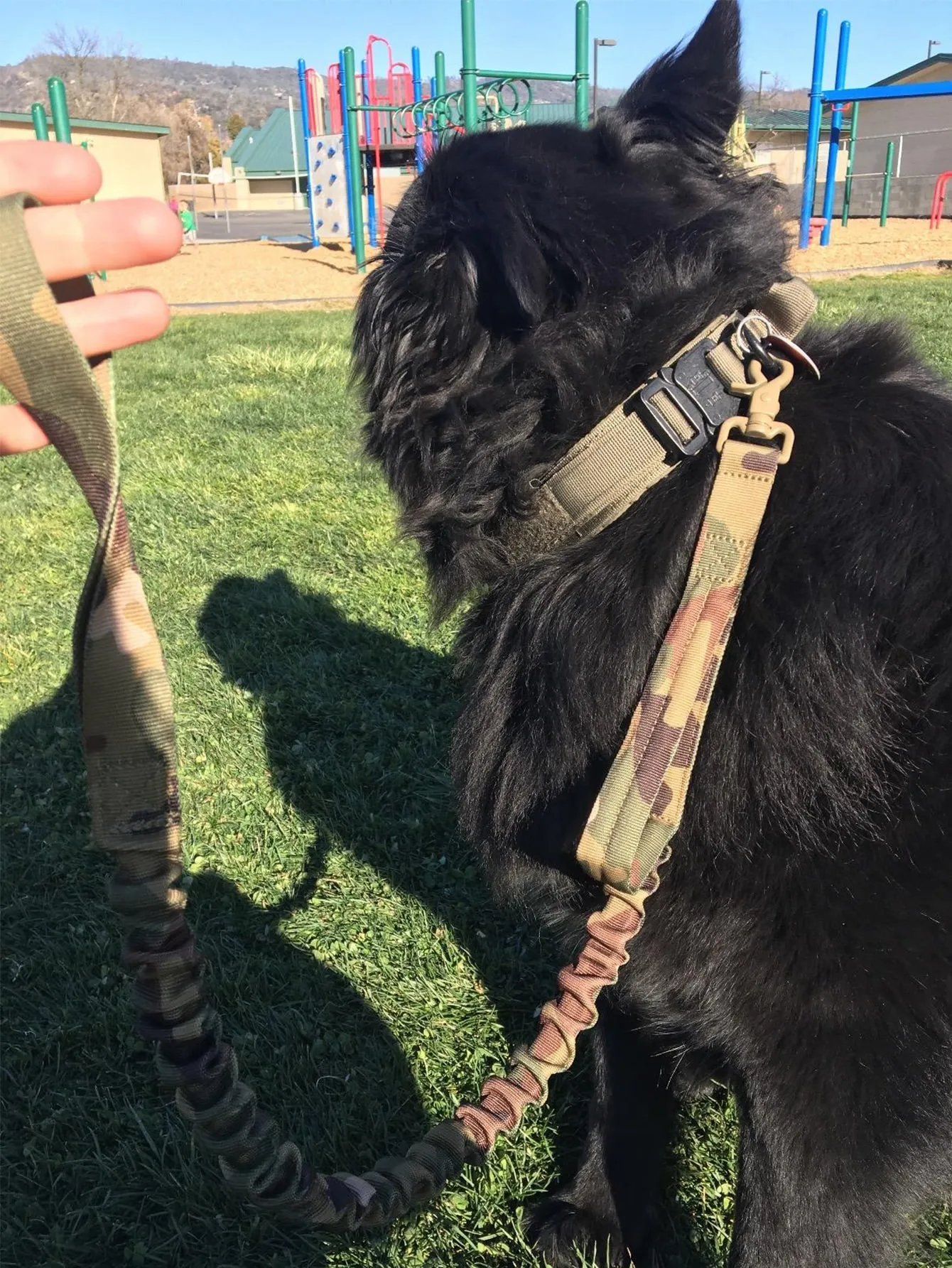 1pc Adjustable Pet Collar 1pc Pet Leash