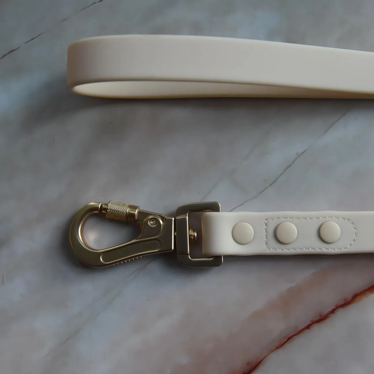 5ft Dog Leash 3/4" Wide Biothane Waterproof Lightweight Tan Beige Cream Gold Screw Lock Hardware Strong Extra Security Neutral Unisex (Cream - Gold)