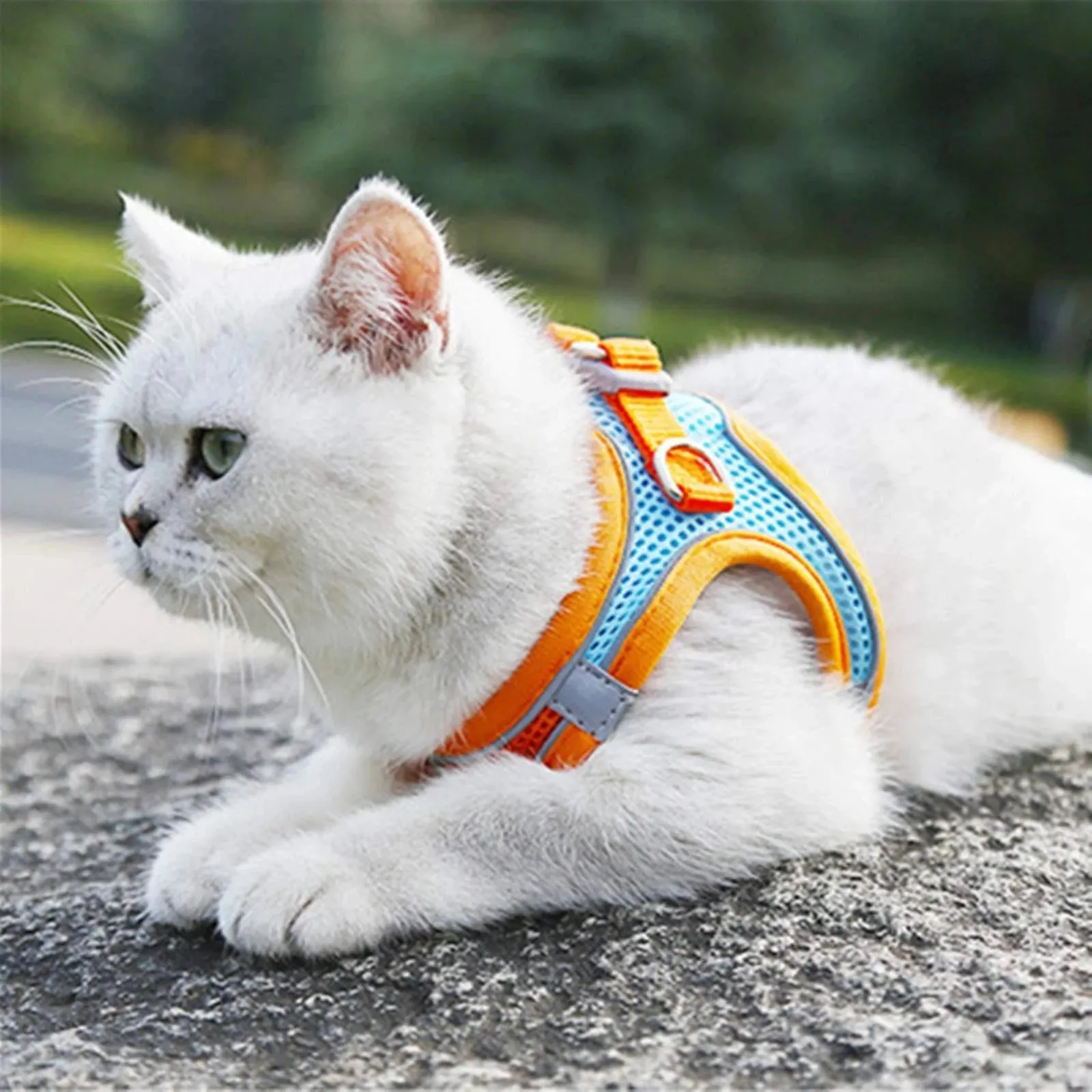 Adjustable & Reflective Harnesses & Leashes Set For Pets
