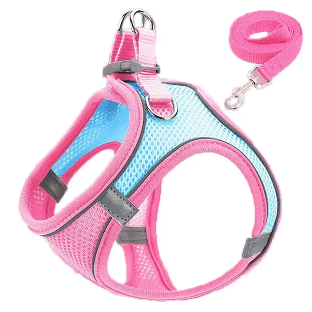 Adjustable & Reflective Harnesses & Leashes Set For Pets