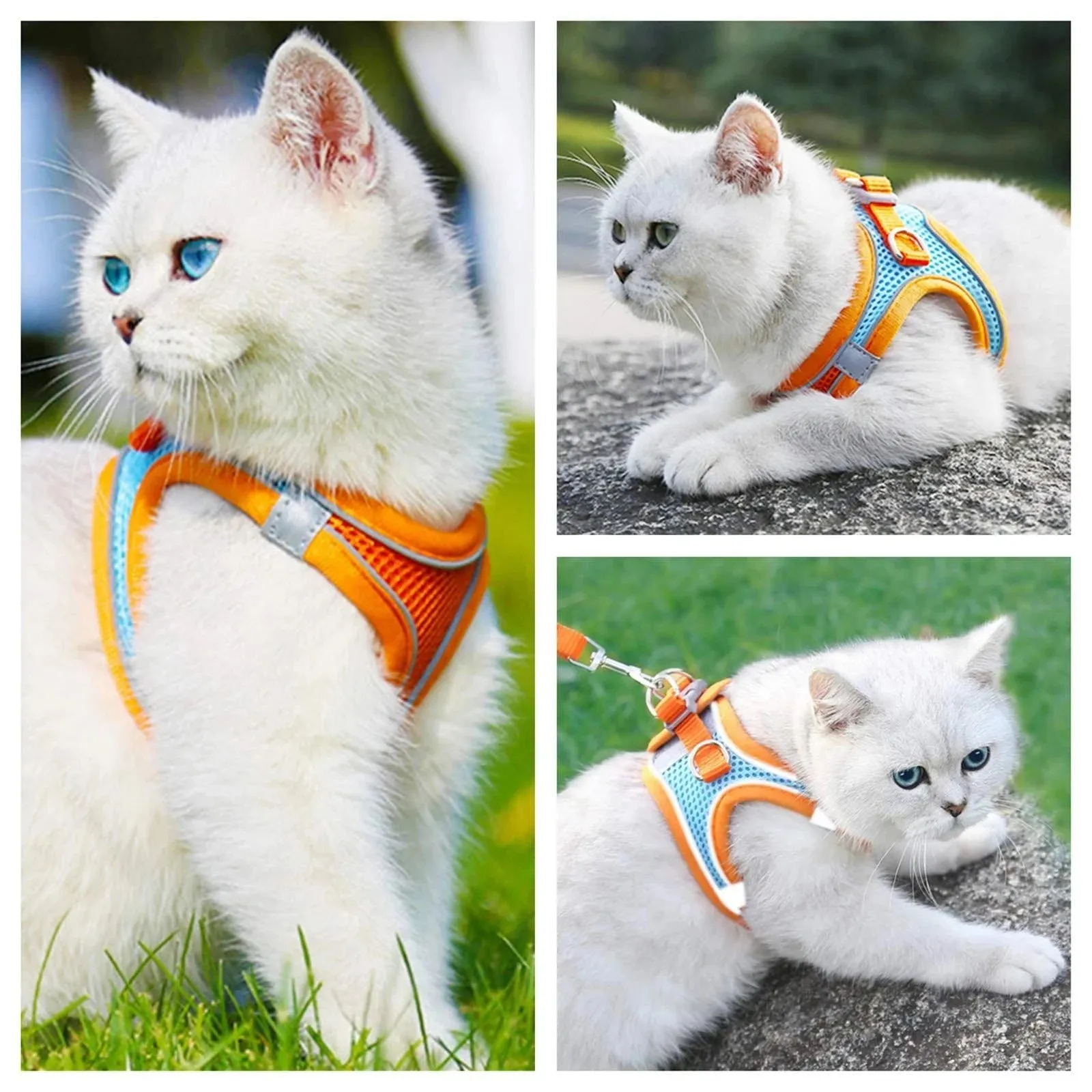 Adjustable & Reflective Harnesses & Leashes Set For Pets