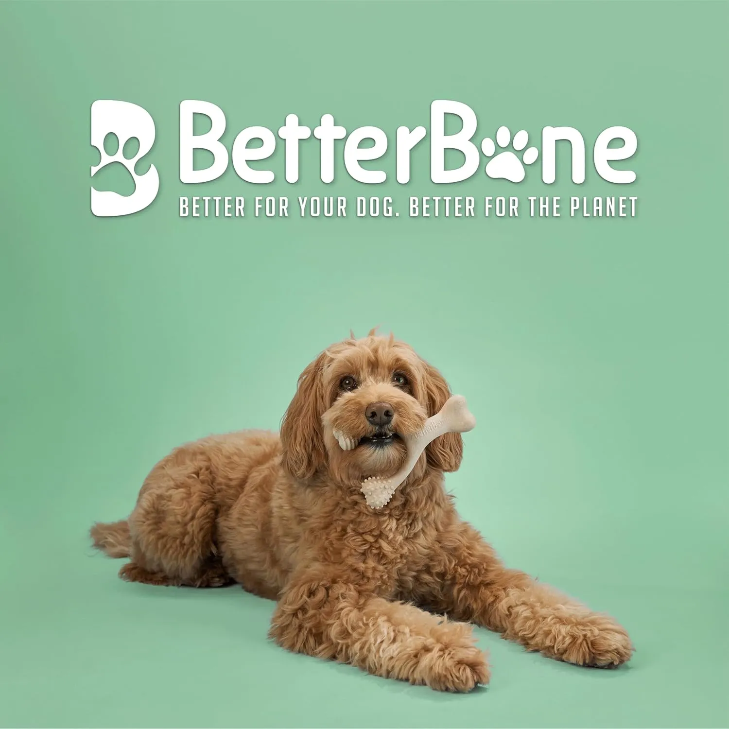 All-Natural, Nylon-Free Dog Chew Toys - Medium Density - Ideal for Moderate to Strong Chewers - Non-Toxic, Promotes Dental Health, Splinter-Resistant, Sustainably Made