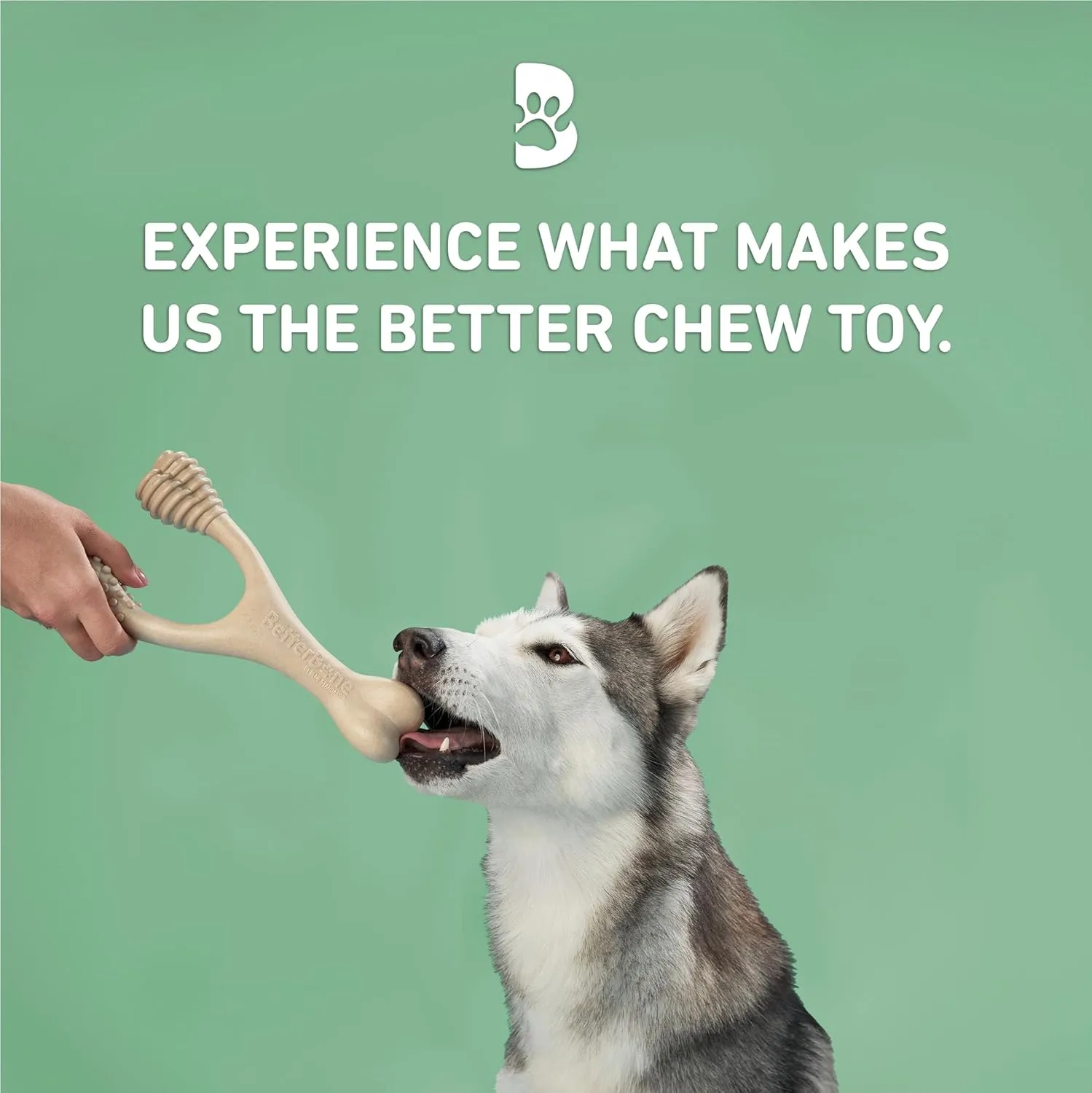 All-Natural, Nylon-Free Dog Chew Toys - Medium Density - Ideal for Moderate to Strong Chewers - Non-Toxic, Promotes Dental Health, Splinter-Resistant, Sustainably Made