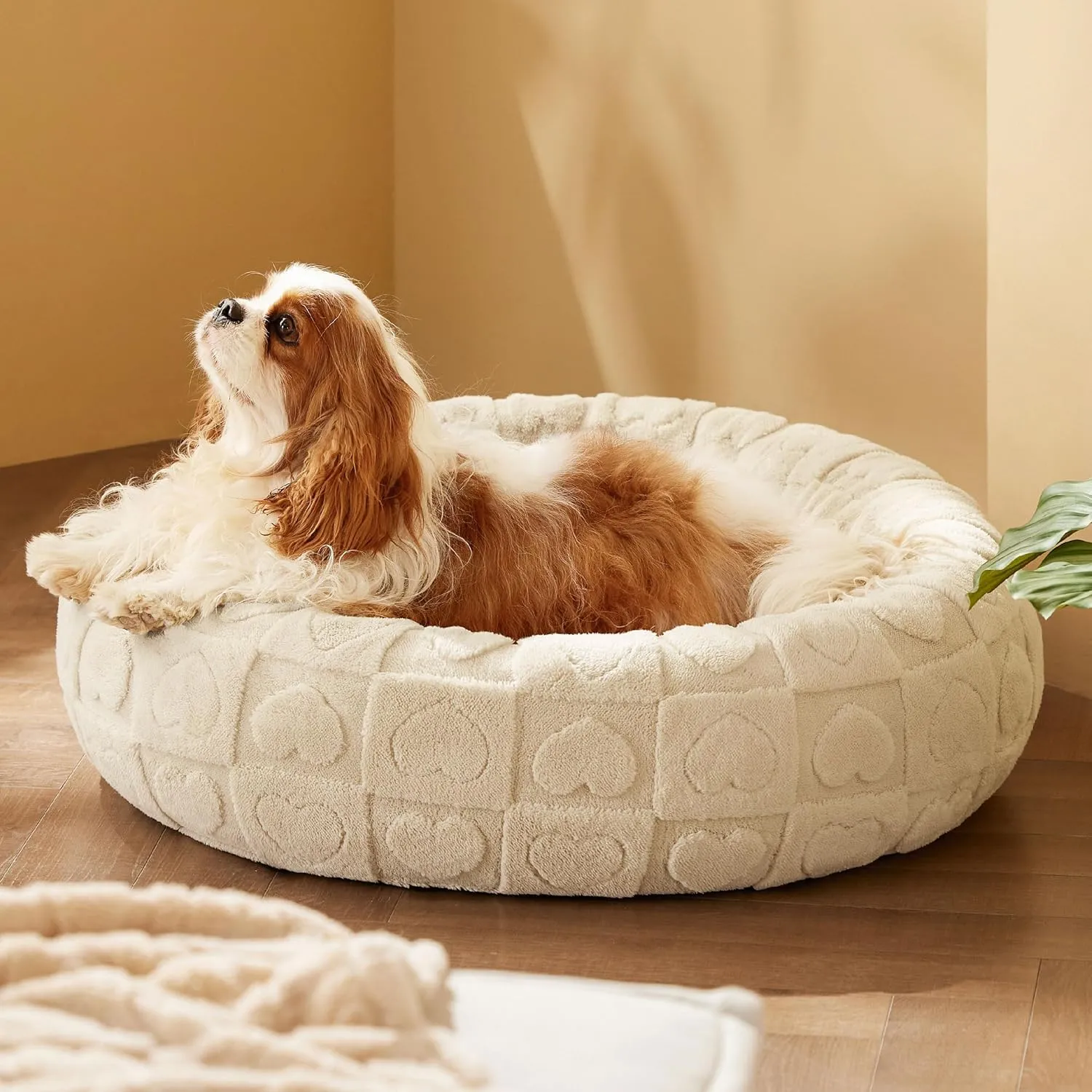 Bedsure Dog Bed for Small Dogs - Donut Pet Bed for Puppy Kitten with Anti Slip Bottom, Round Sherpa Dog Beds with Washable Removable Cover, Cream, 23x23x8 inches