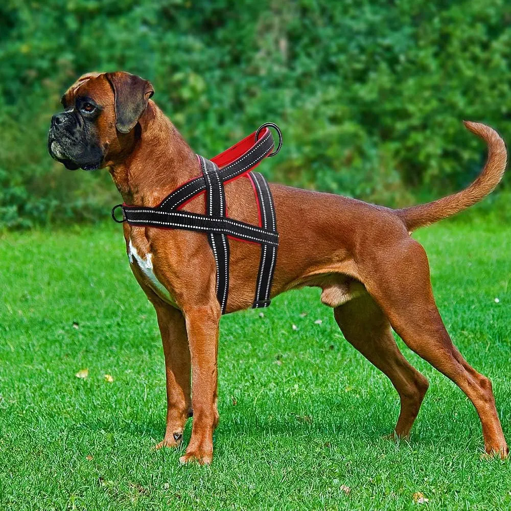 Beirui No Pull Escape Proof Dog Harness for Small Medium Large Dogs - Soft Padded Reflective Large Dog Walking Harnesses (Black,L)