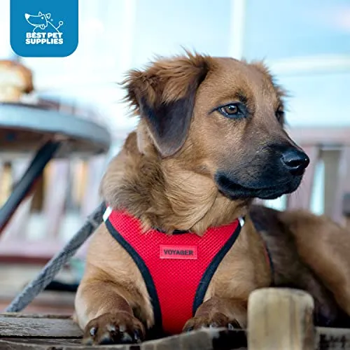 Best Pet Supplies Voyager Step-in Air Dog Harness-All Weather Mesh Step in Vest Harness for Small and Medium Dogs by Best Pet Supplies-Harness (Blue), XXX-Small