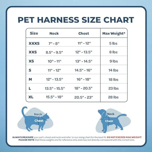 Best Pet Supplies Voyager Step-in Air Dog Harness-All Weather Mesh Step in Vest Harness for Small and Medium Dogs by Best Pet Supplies-Harness (Blue), XXX-Small