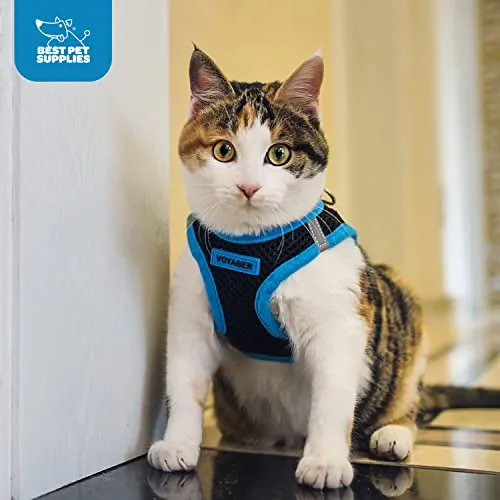 Best Pet Supplies Voyager Step-in Air Dog Harness-All Weather Mesh Step in Vest Harness for Small and Medium Dogs by Best Pet Supplies-Harness (Blue), XXX-Small