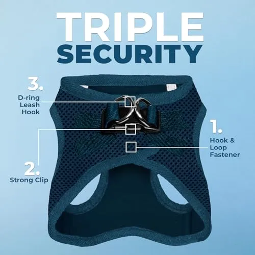 Best Pet Supplies Voyager Step-in Air Dog Harness-All Weather Mesh Step in Vest Harness for Small and Medium Dogs by Best Pet Supplies-Harness (Blue), XXX-Small