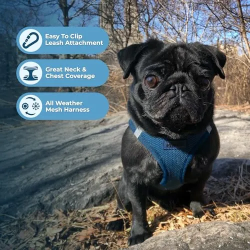 Best Pet Supplies Voyager Step-in Air Dog Harness-All Weather Mesh Step in Vest Harness for Small and Medium Dogs by Best Pet Supplies-Harness (Blue), XXX-Small