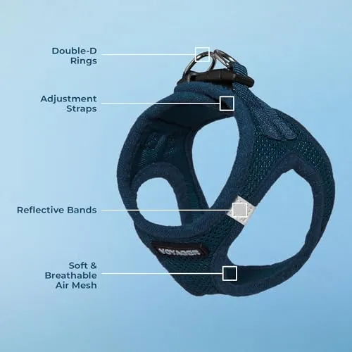Best Pet Supplies Voyager Step-in Air Dog Harness-All Weather Mesh Step in Vest Harness for Small and Medium Dogs by Best Pet Supplies-Harness (Blue), XXX-Small