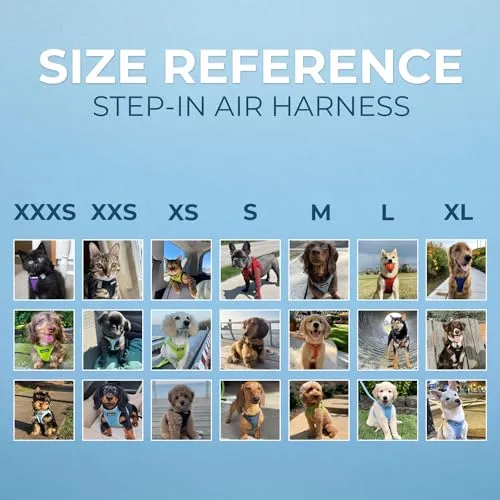 Best Pet Supplies Voyager Step-in Air Dog Harness-All Weather Mesh Step in Vest Harness for Small and Medium Dogs by Best Pet Supplies-Harness (Blue), XXX-Small