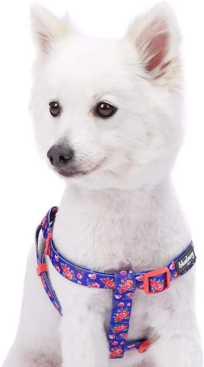 Blueberry Pet 9 Patterns Step-in Spring Scent Inspired Rose Print Irish Blue Dog Harness, Chest Girth 26" - 39", Large, Adjustable Harnesses for Dogs