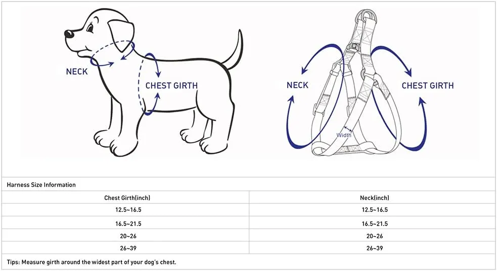 Blueberry Pet 9 Patterns Step-in Spring Scent Inspired Rose Print Irish Blue Dog Harness, Chest Girth 26" - 39", Large, Adjustable Harnesses for Dogs