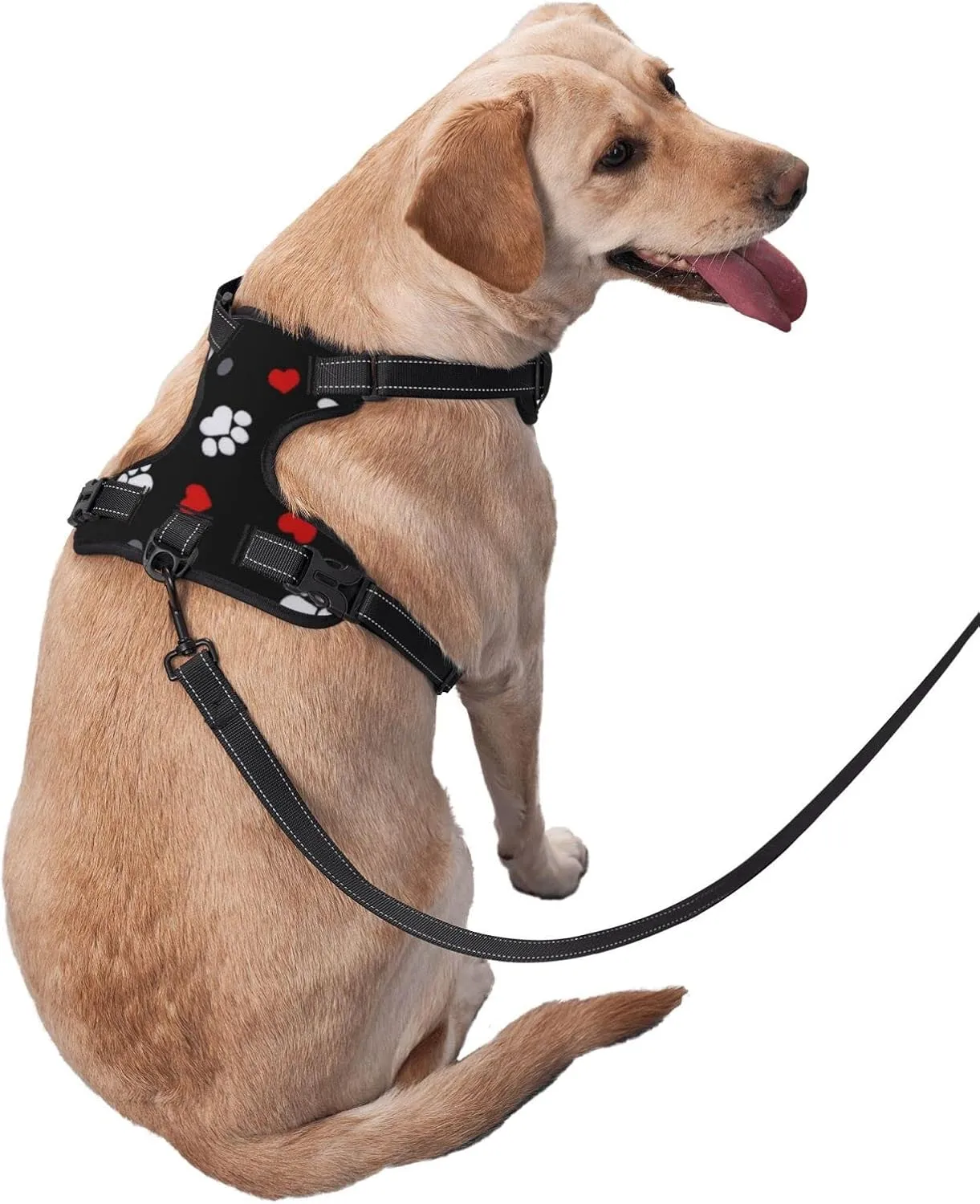 Breathable Dog Harness No Choke with Leash for Training, Escape Proof Outdoor Walking, Pull Soft Padded Vest Paw Prints & Hearts On Black, Medium