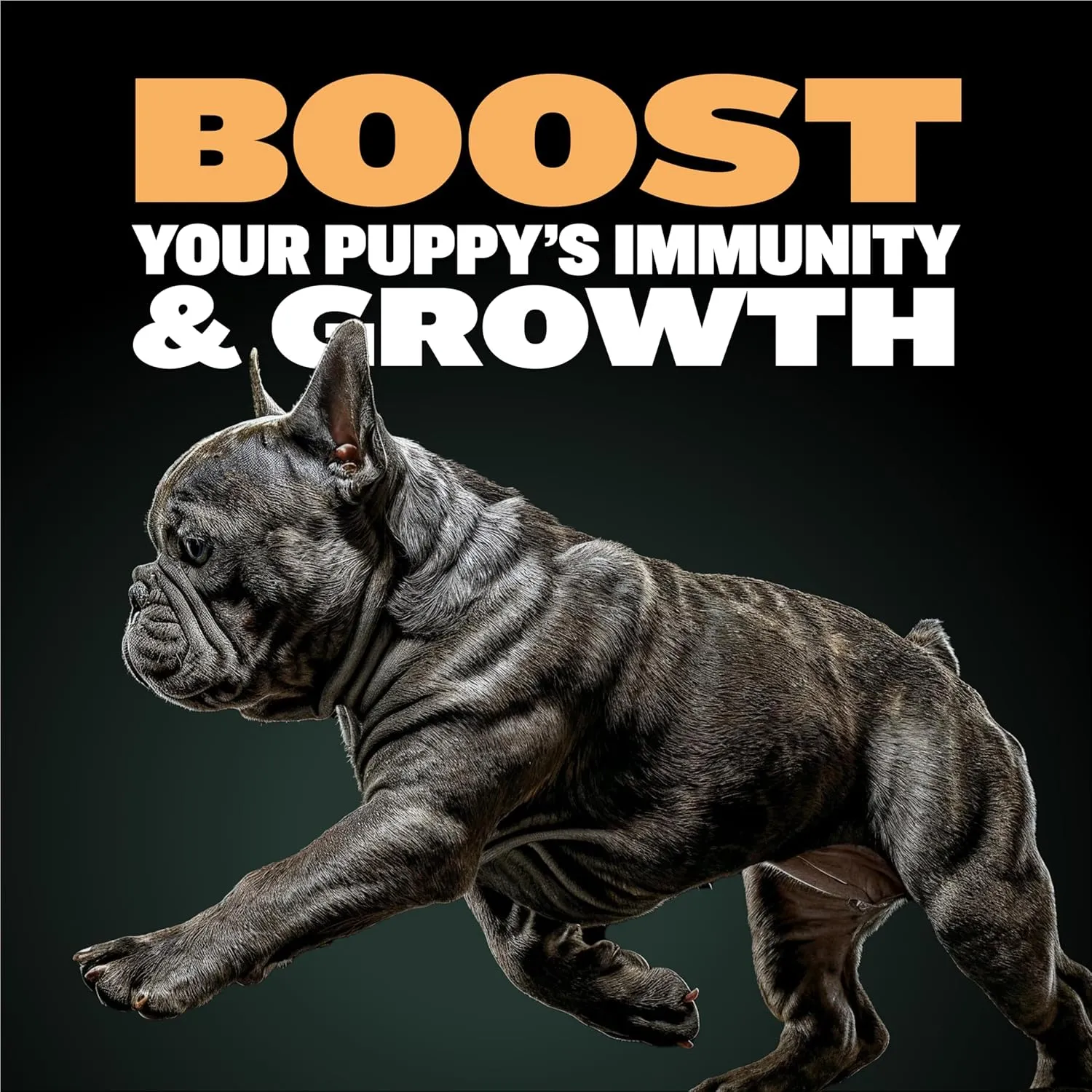 Bully Max Wet Puppy Food - Instant Fresh Dehydrated High Protein Soft Dog Food with Chicken - Healthy Growth for Small & Large Breed Puppies - 2 Dry Dog Food Pounds (Makes 5.5 lbs. of Wet Food)