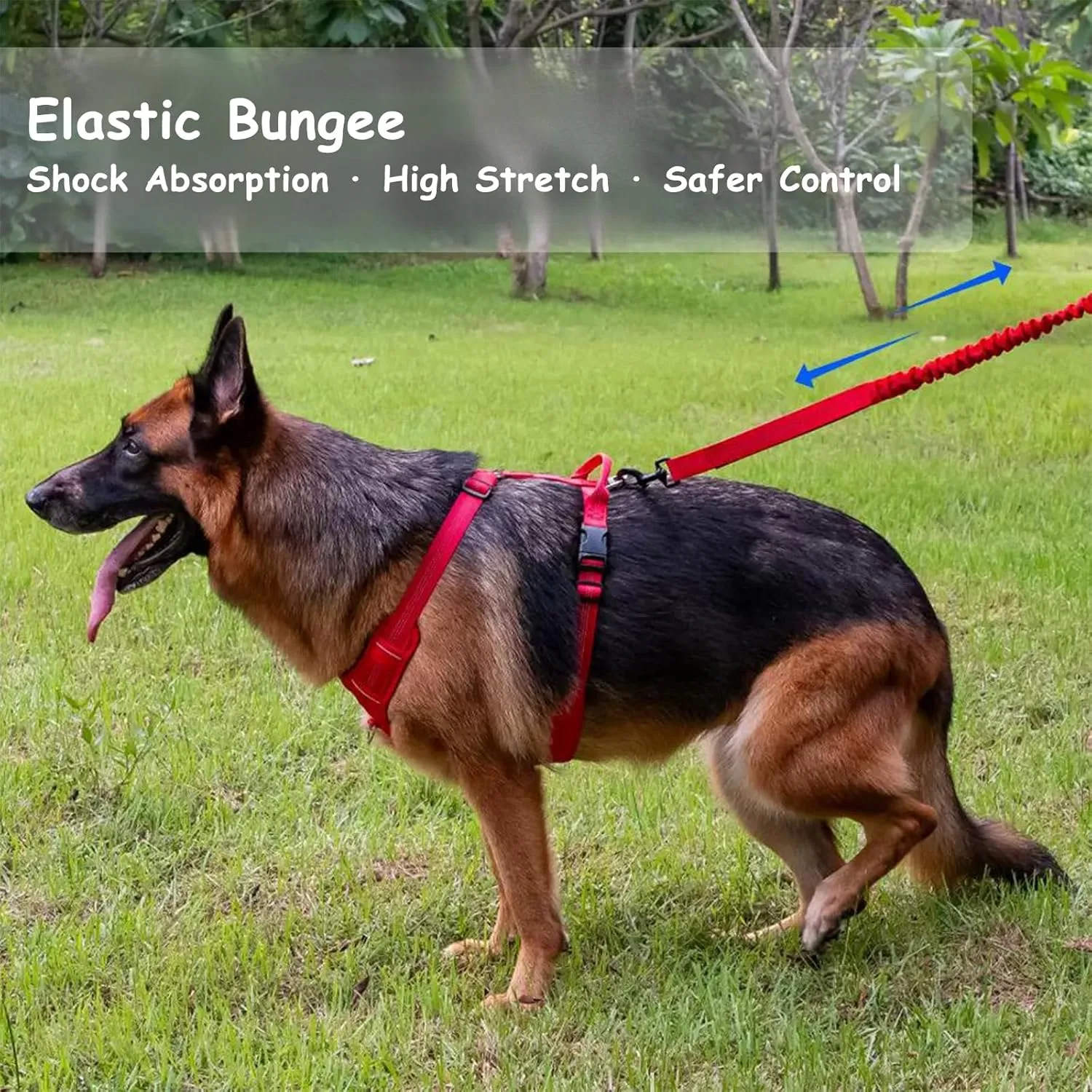 Bungee Dog Leash with Shock Absorption, Dual Handles for Pull Control, Reflective Nylon, Zinc Alloy Hook, D-Ring for Poop Bags, Red, L