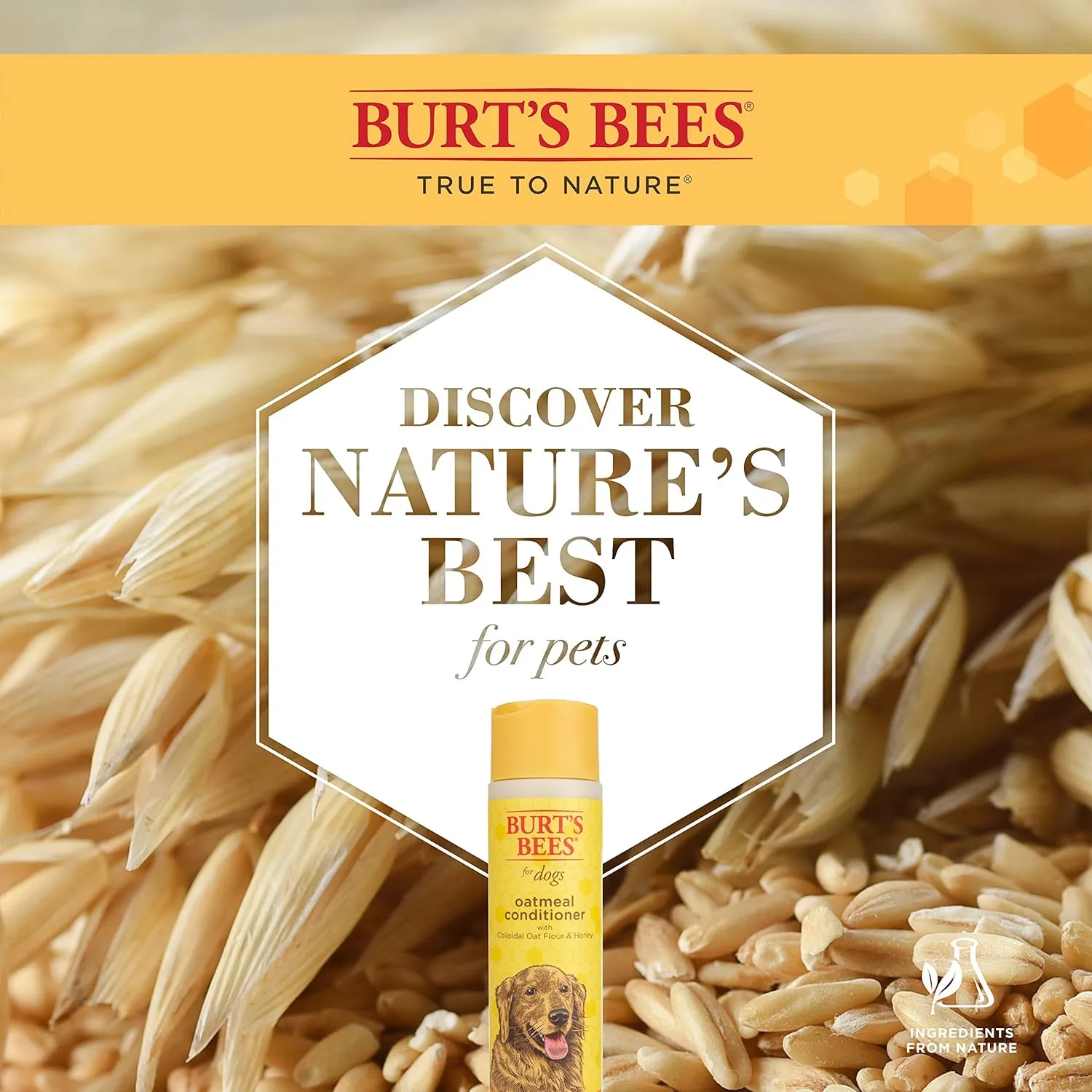 Burt's Bees for Pets Oatmeal Dog Conditioner with Colloidal Oat Flour and Honey, 95% Natural Origin Formulas, Gentle Canine Conditioning Formula for Itchy Dogs, 2pk, 10 oz