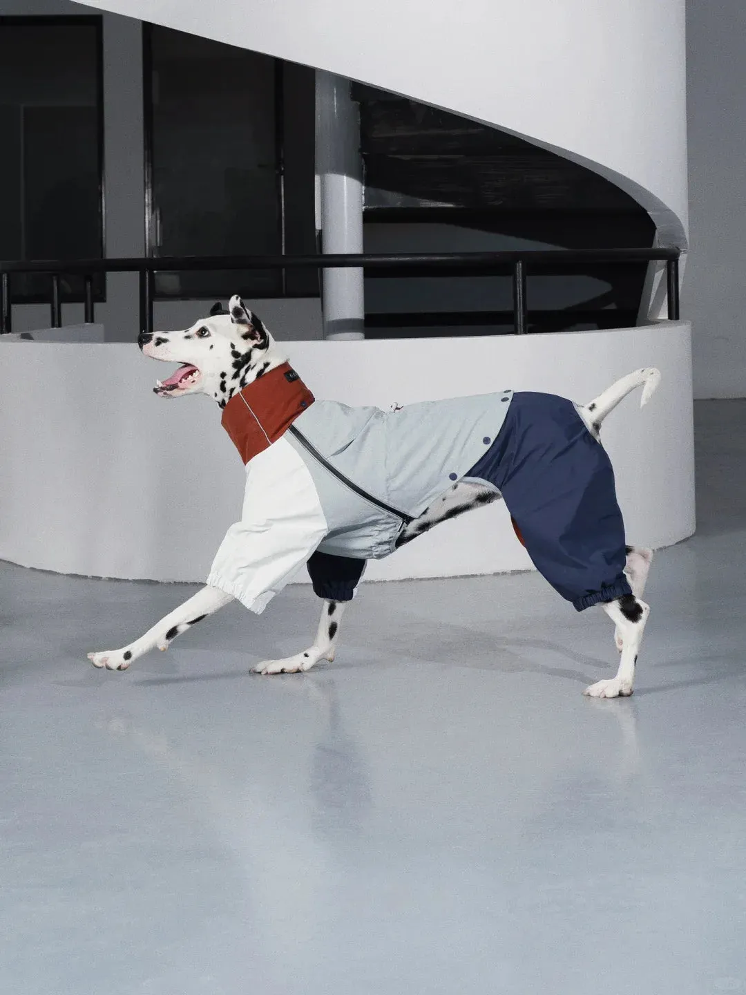 Detachable 4-Leg Dog Raincoat | Brick Blue