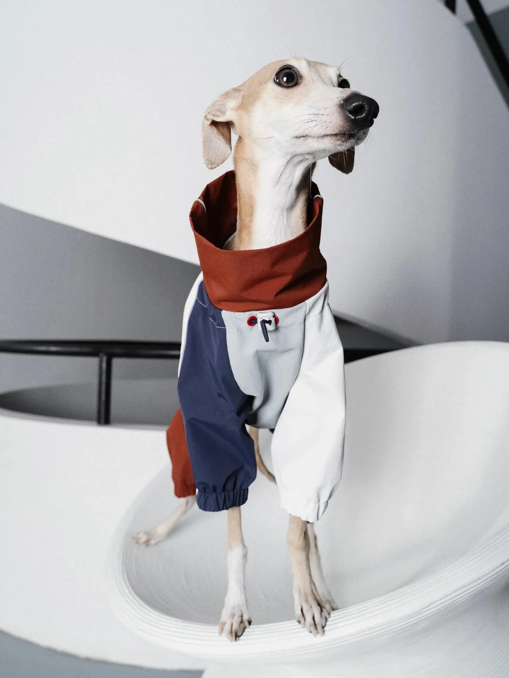 Detachable 4-Leg Dog Raincoat | Brick Blue
