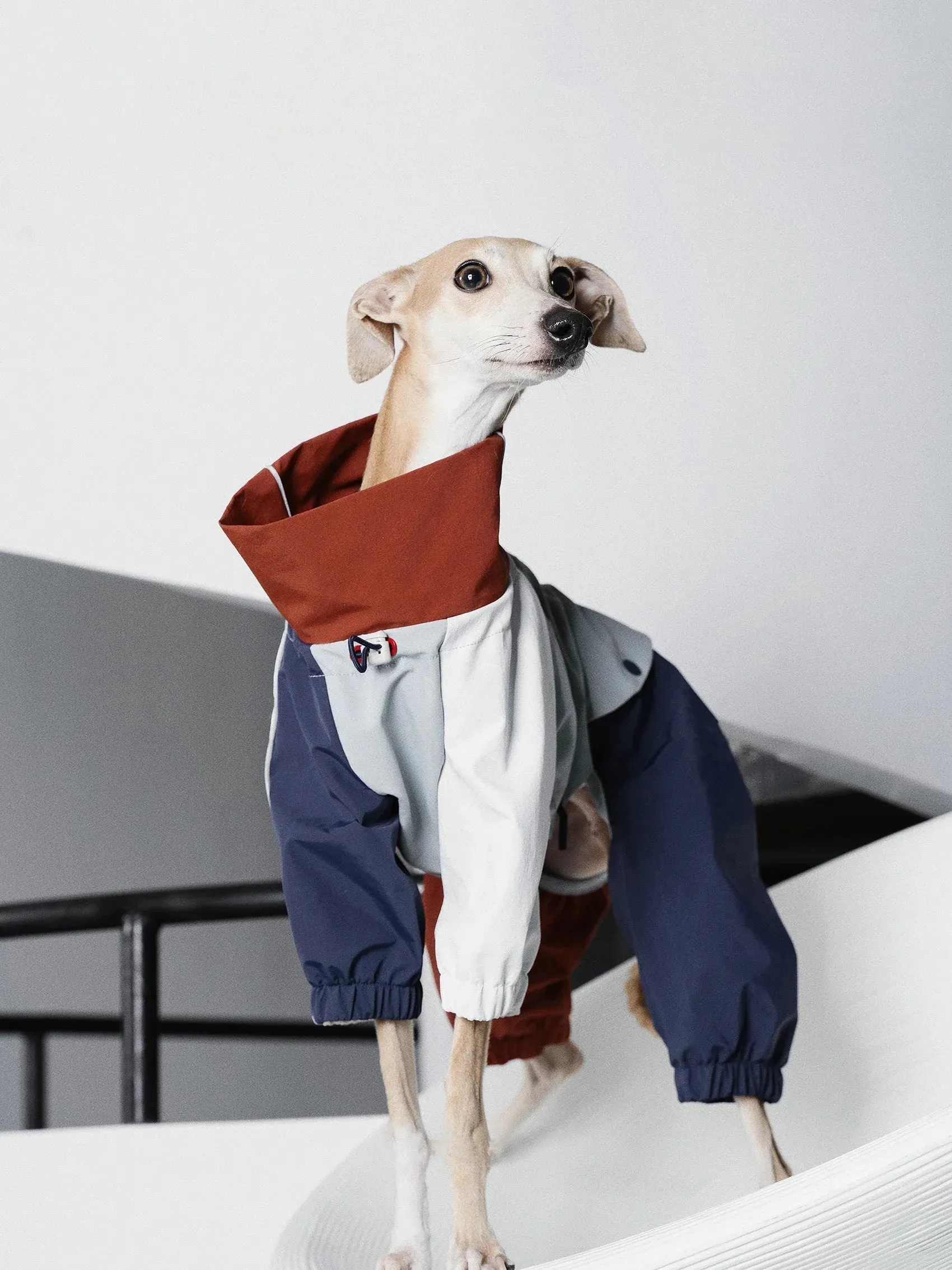 Detachable 4-Leg Dog Raincoat | Brick Blue