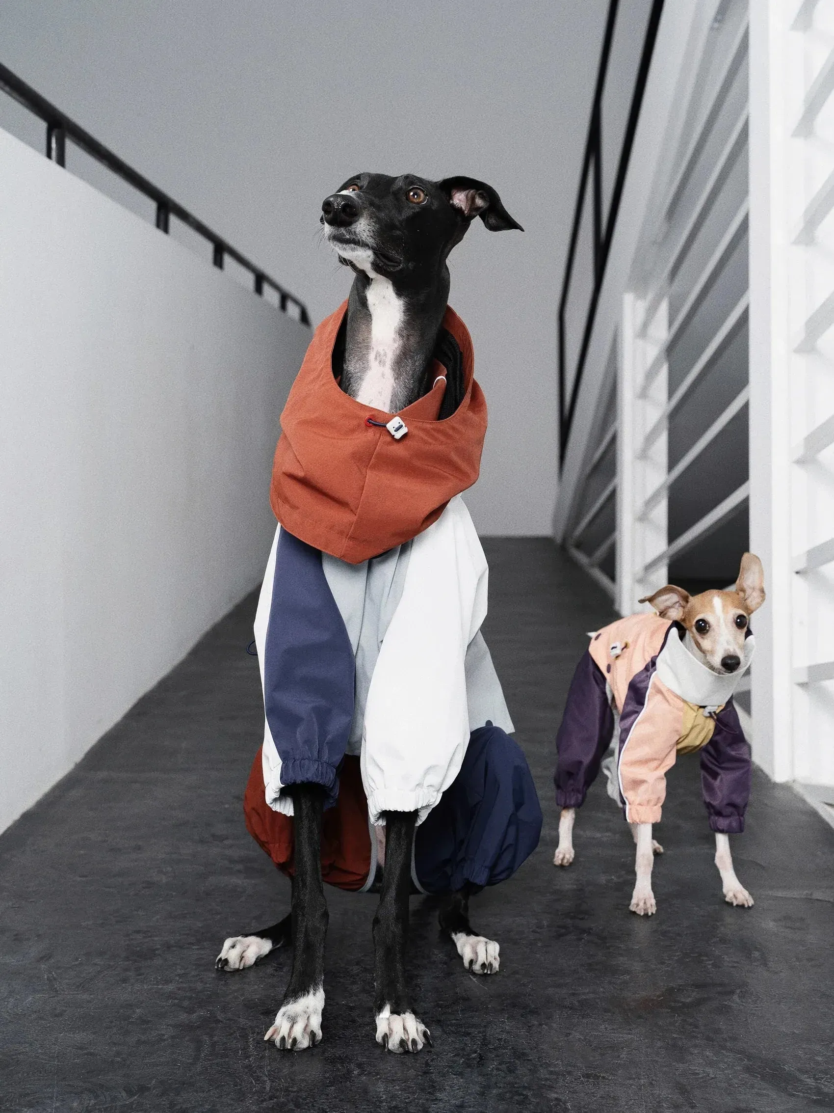 Detachable 4-Leg Dog Raincoat | Brick Blue