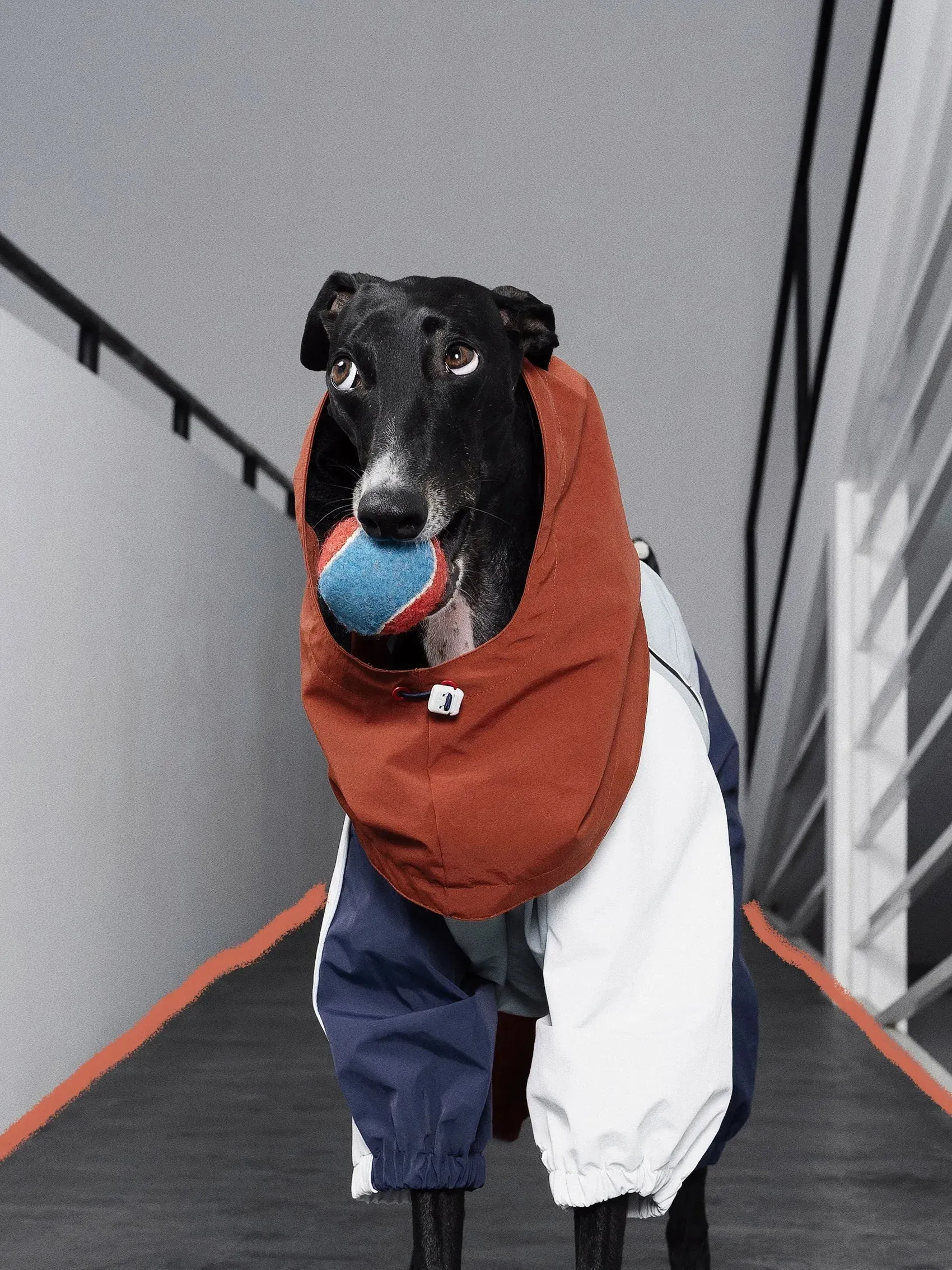 Detachable 4-Leg Dog Raincoat | Brick Blue