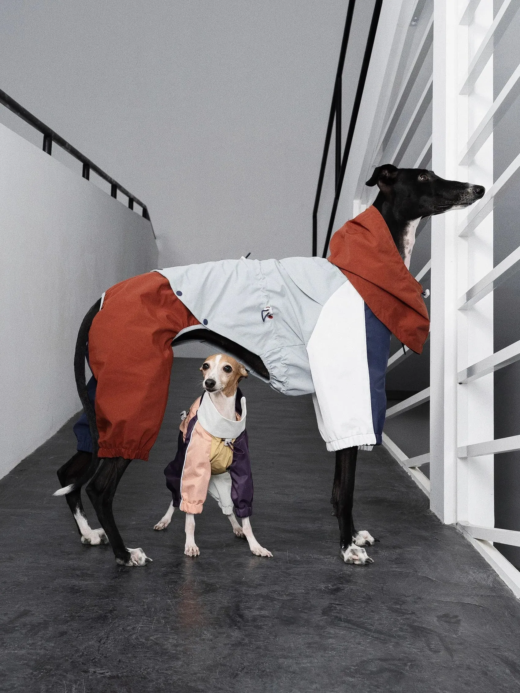 Detachable 4-Leg Dog Raincoat | Brick Blue