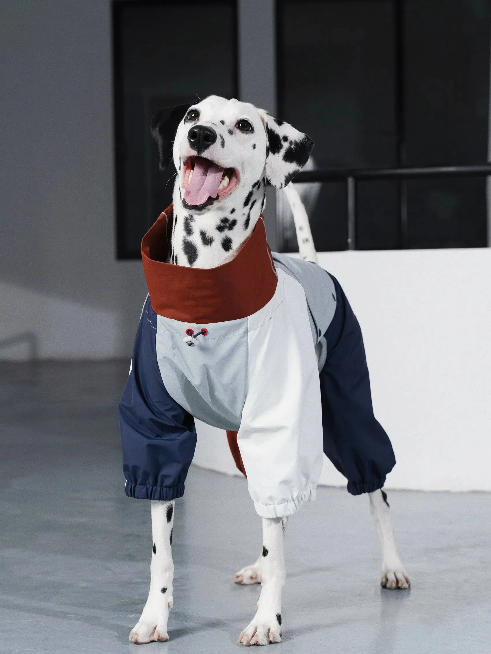 Detachable 4-Leg Dog Raincoat | Brick Blue