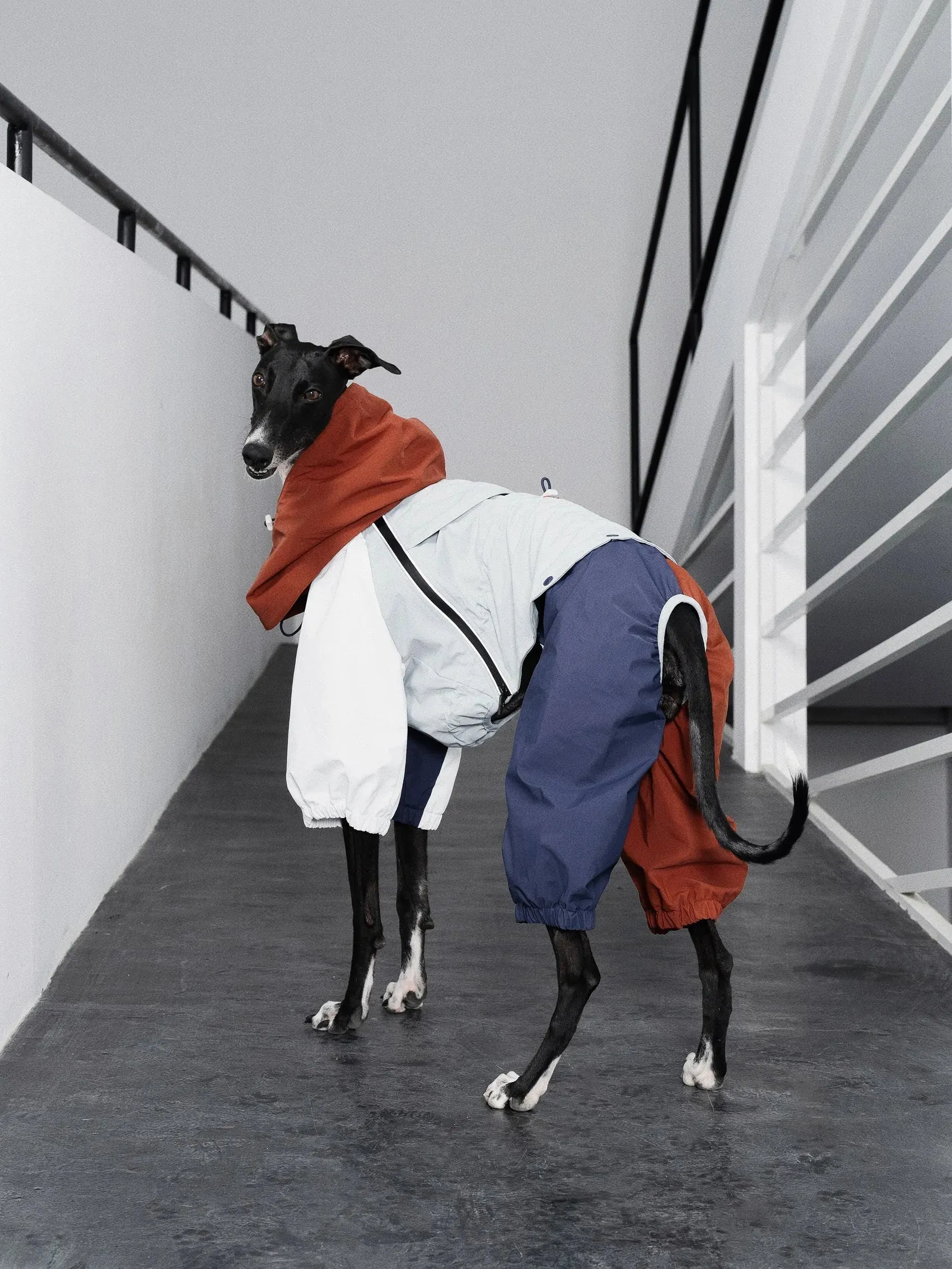 Detachable 4-Leg Dog Raincoat | Brick Blue