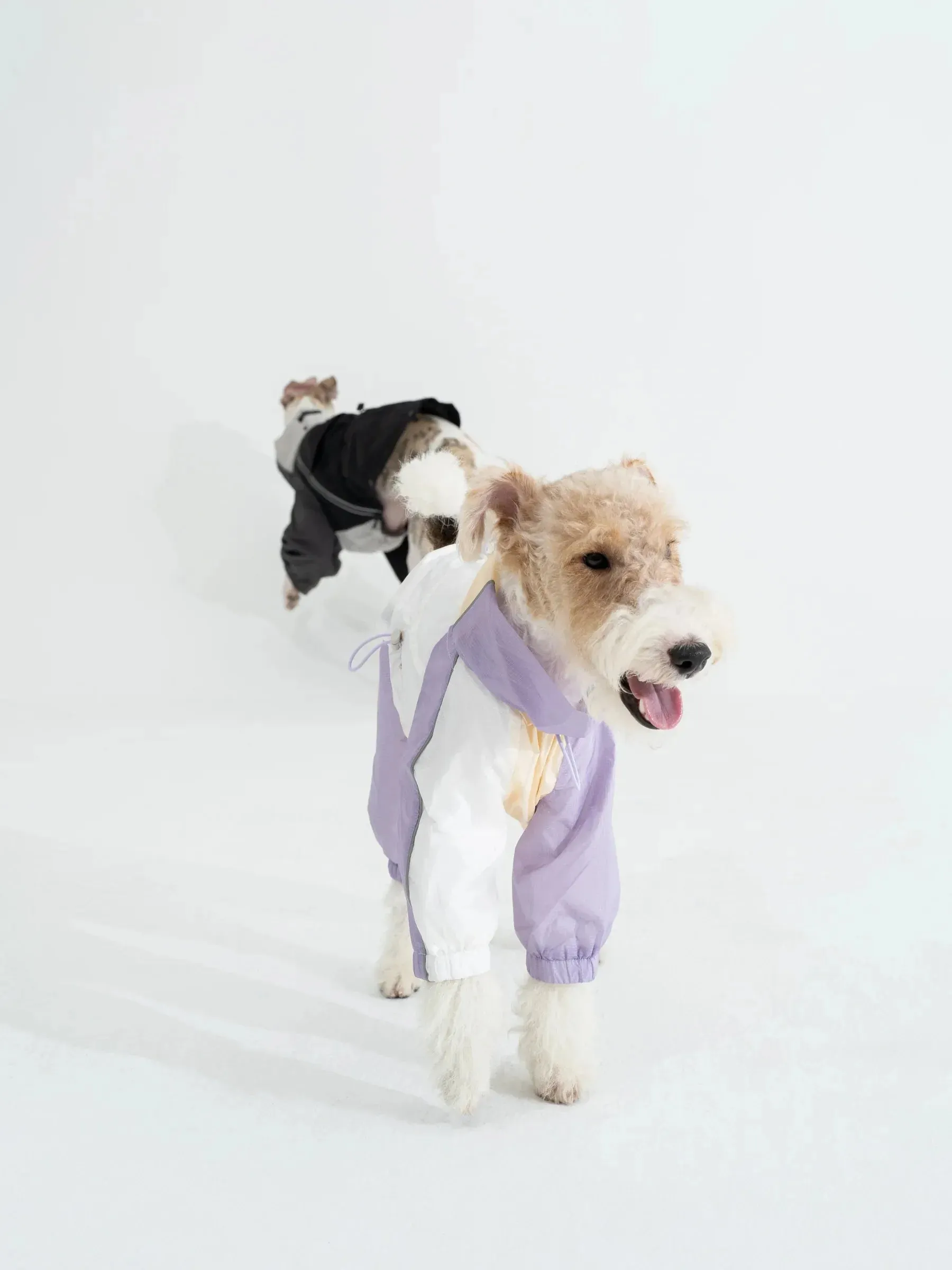 Detachable 4-Leg Dog Raincoat | Cloudy Purple
