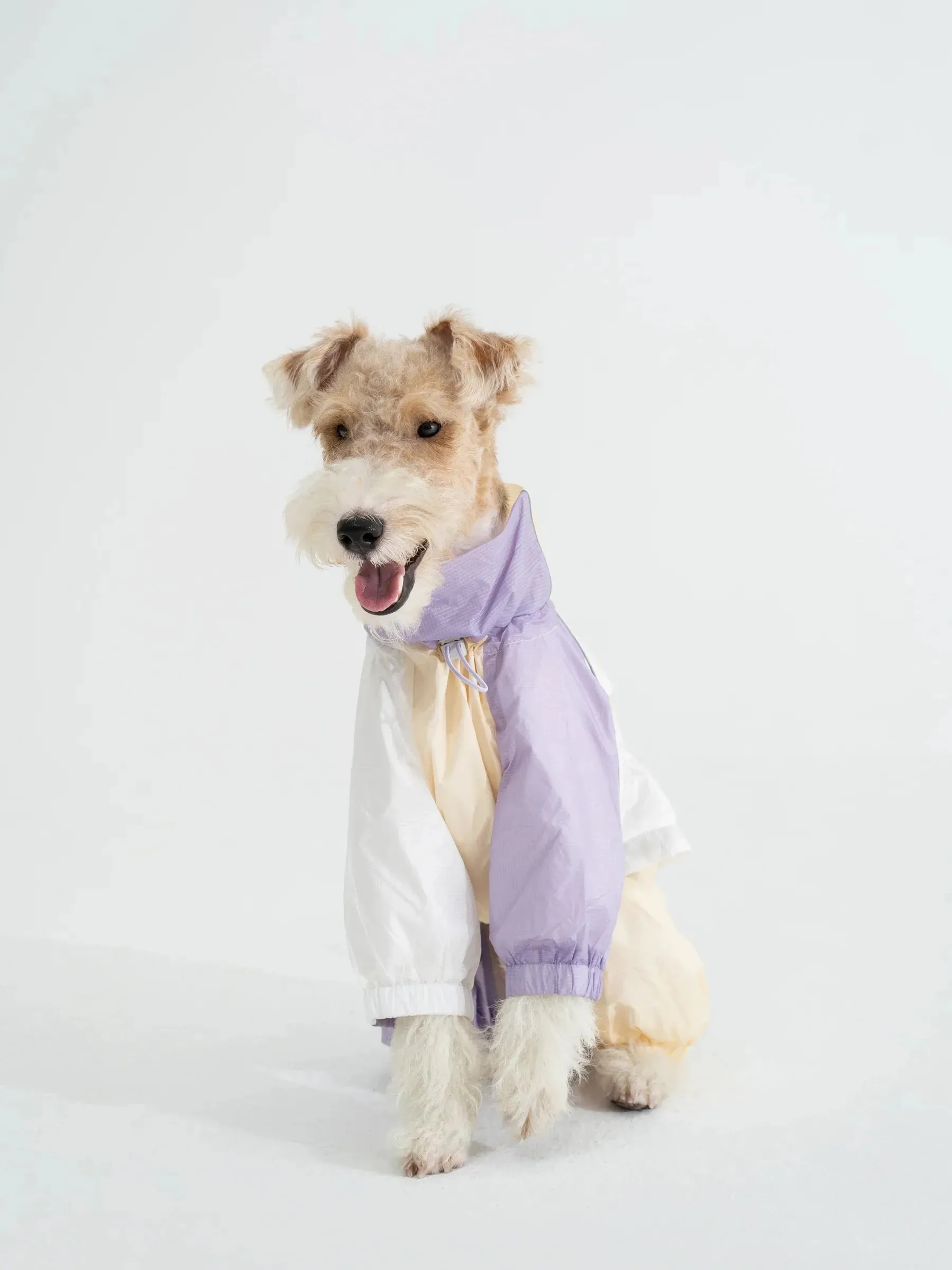 Detachable 4-Leg Dog Raincoat | Cloudy Purple