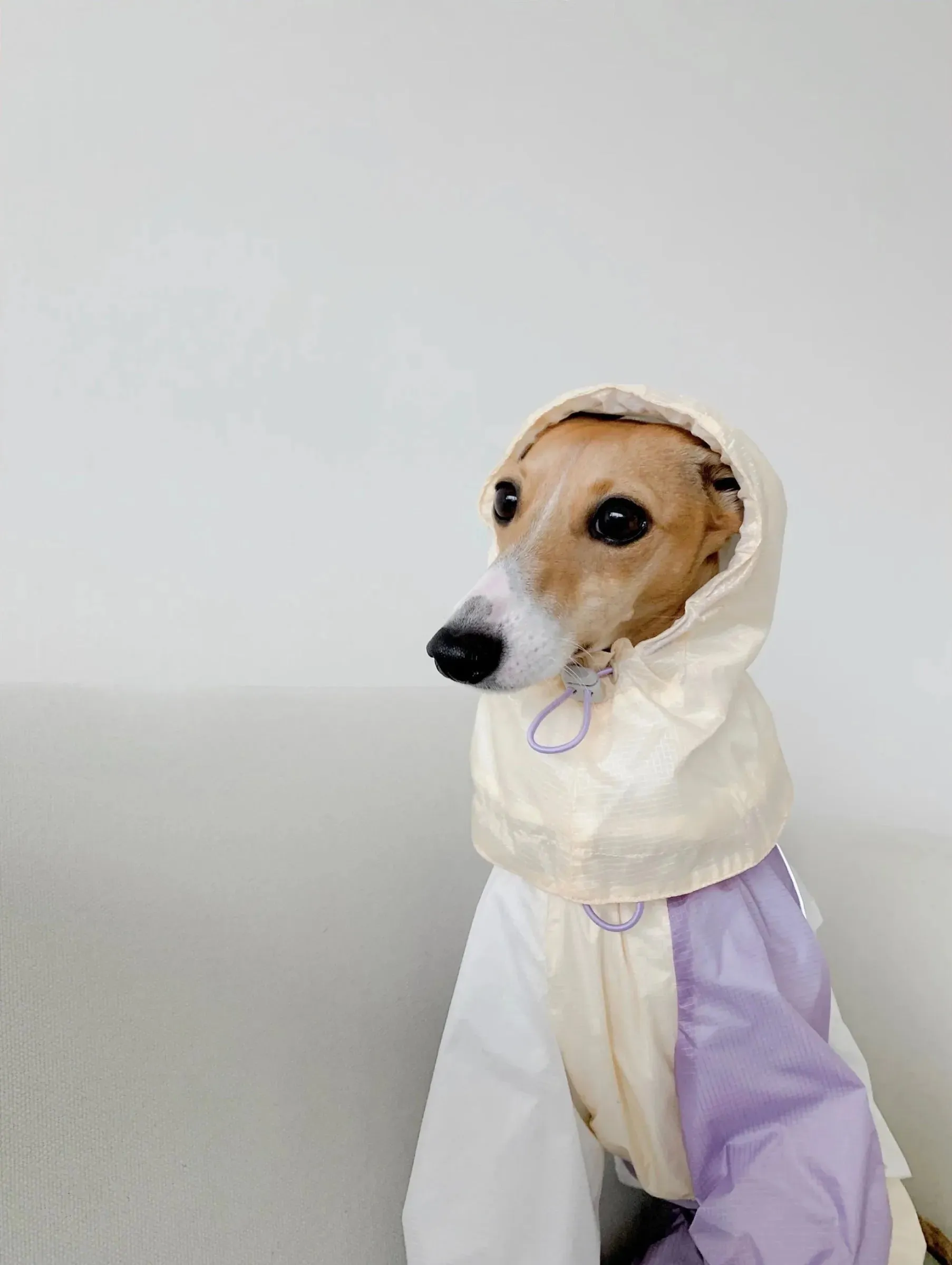 Detachable 4-Leg Dog Raincoat | Cloudy Purple