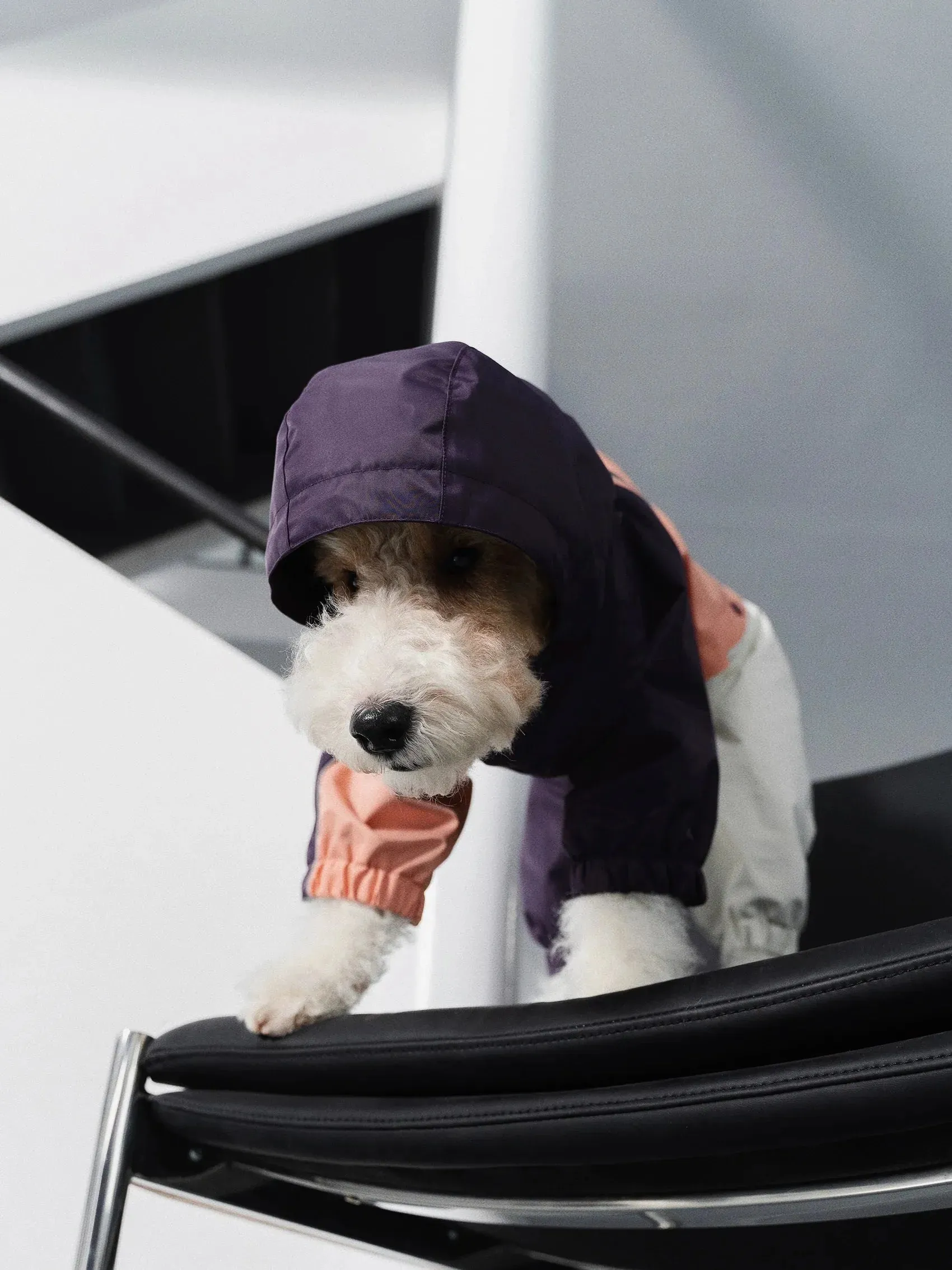Detachable 4-Leg Dog Raincoat | Peach Khaki