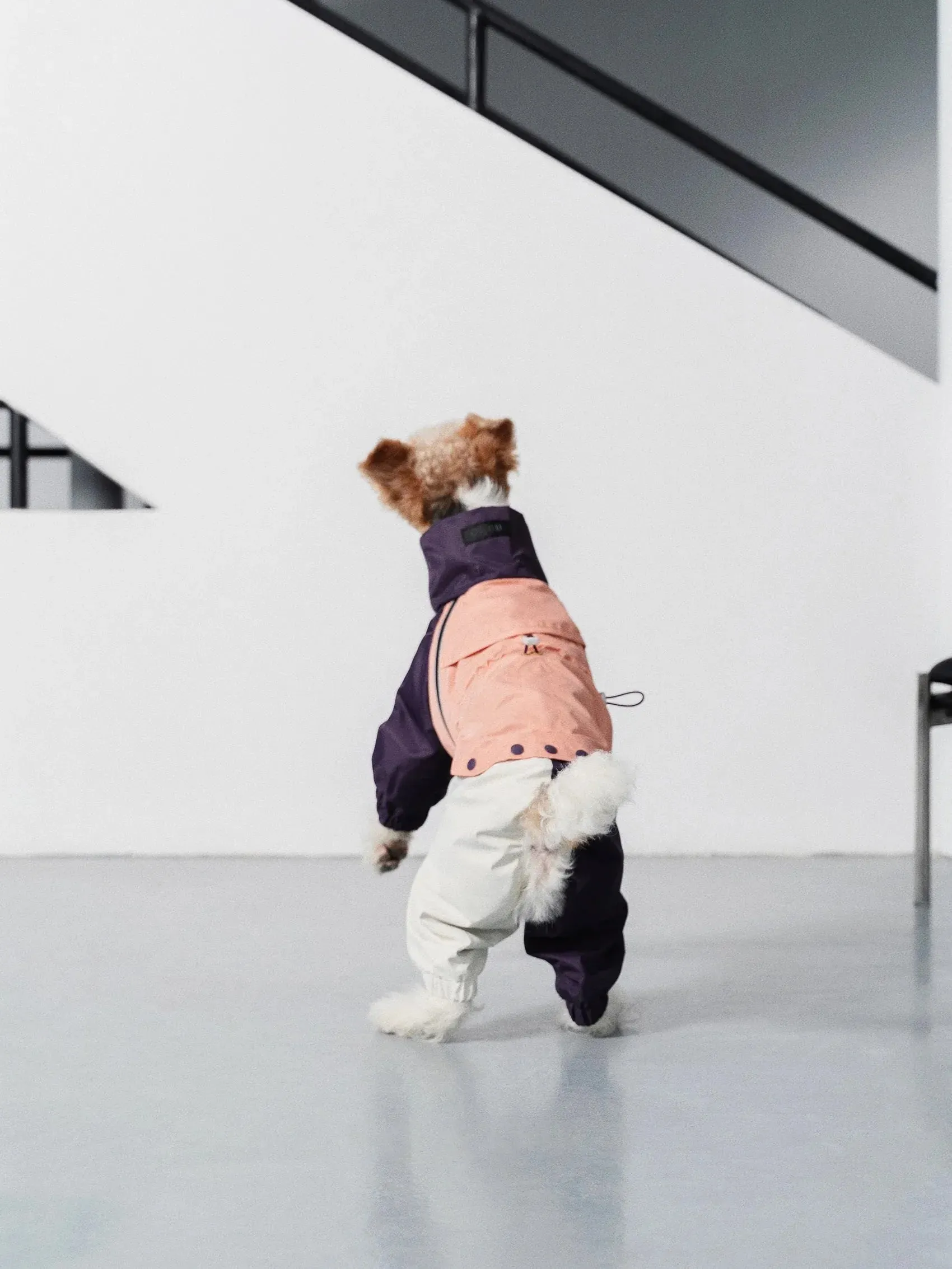 Detachable 4-Leg Dog Raincoat | Peach Khaki