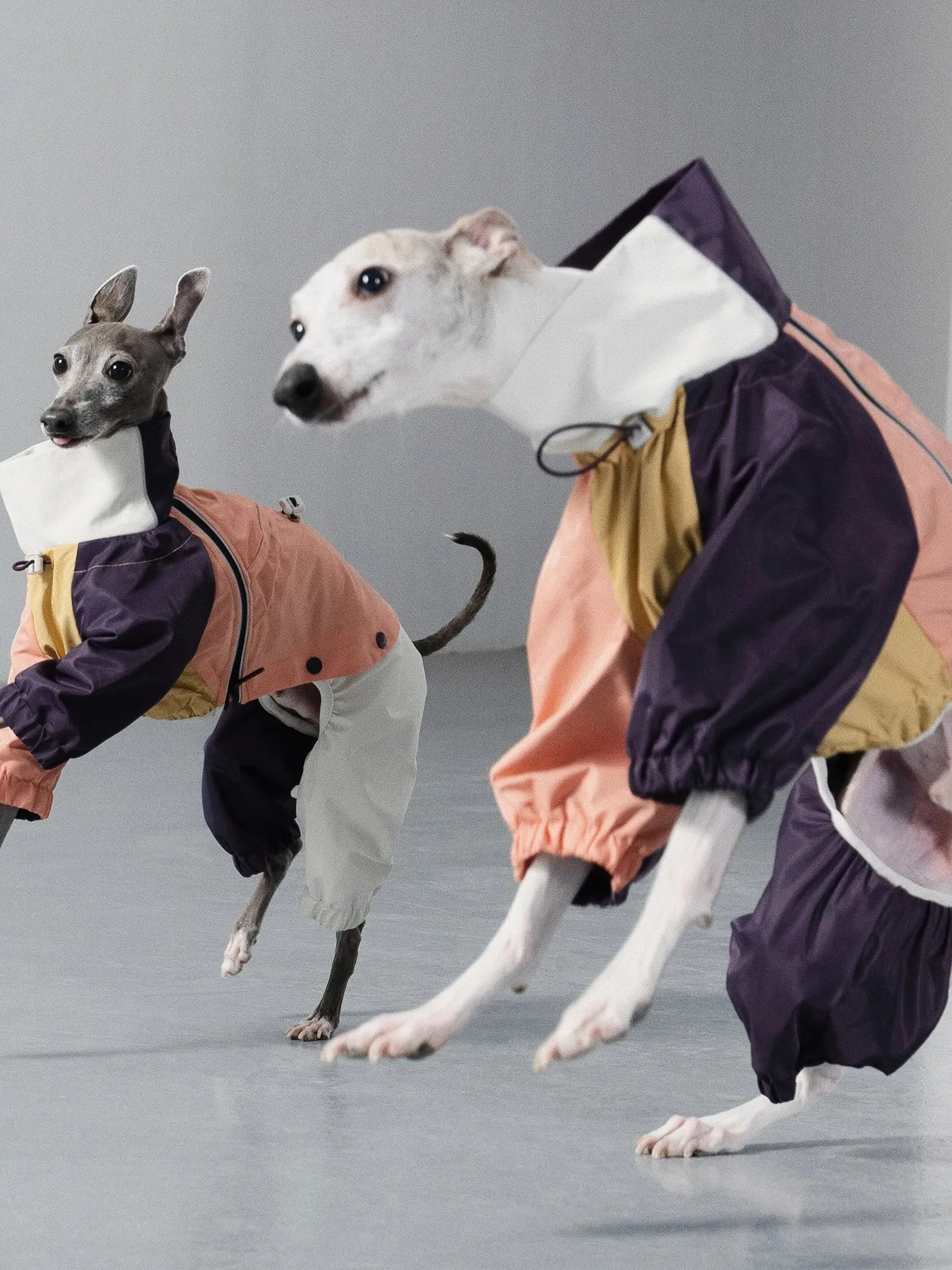 Detachable 4-Leg Dog Raincoat | Peach Khaki