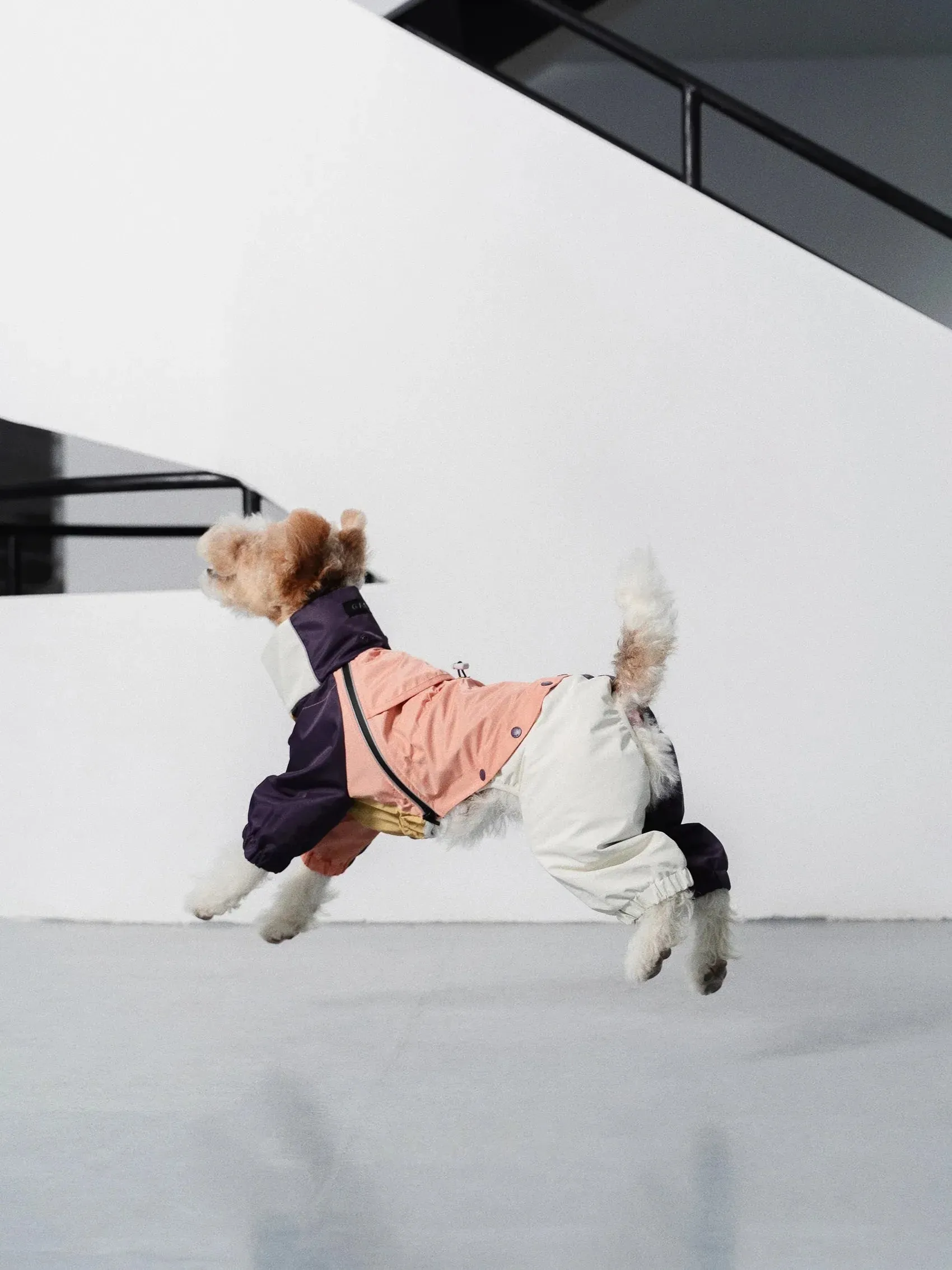 Detachable 4-Leg Dog Raincoat | Peach Khaki