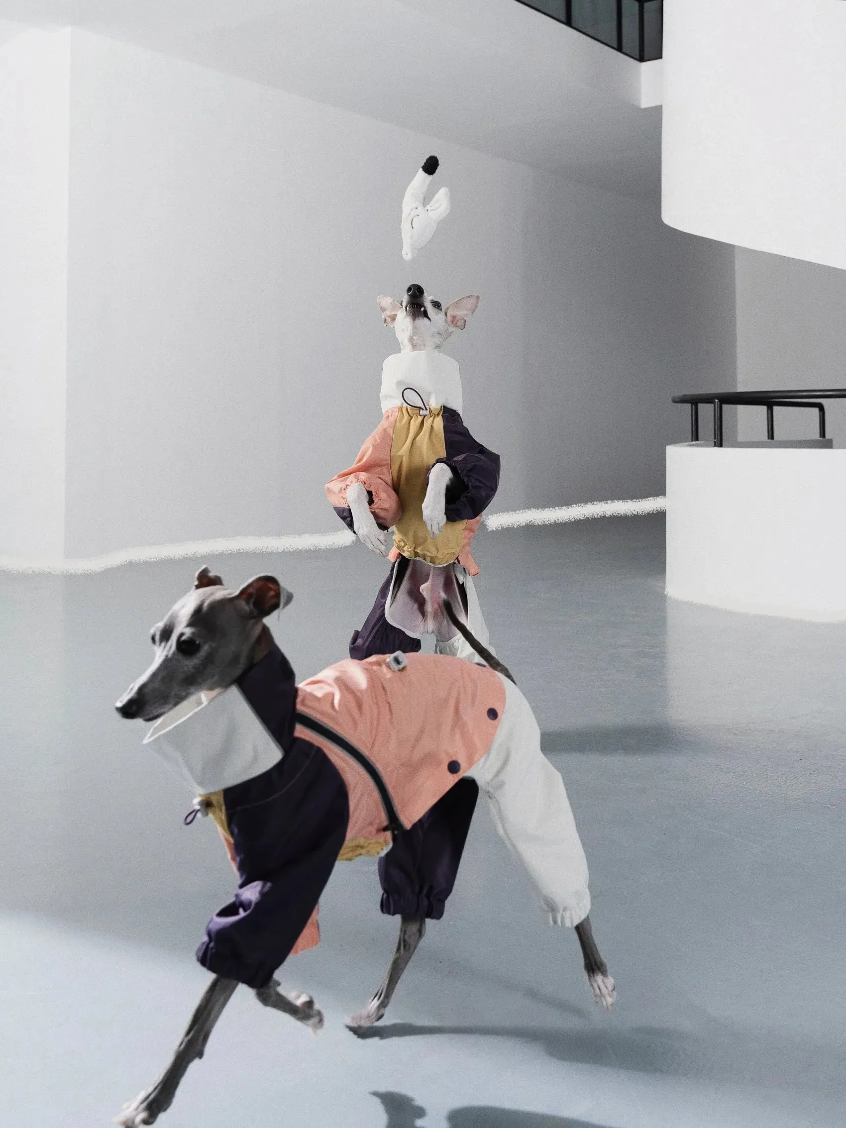 Detachable 4-Leg Dog Raincoat | Peach Khaki