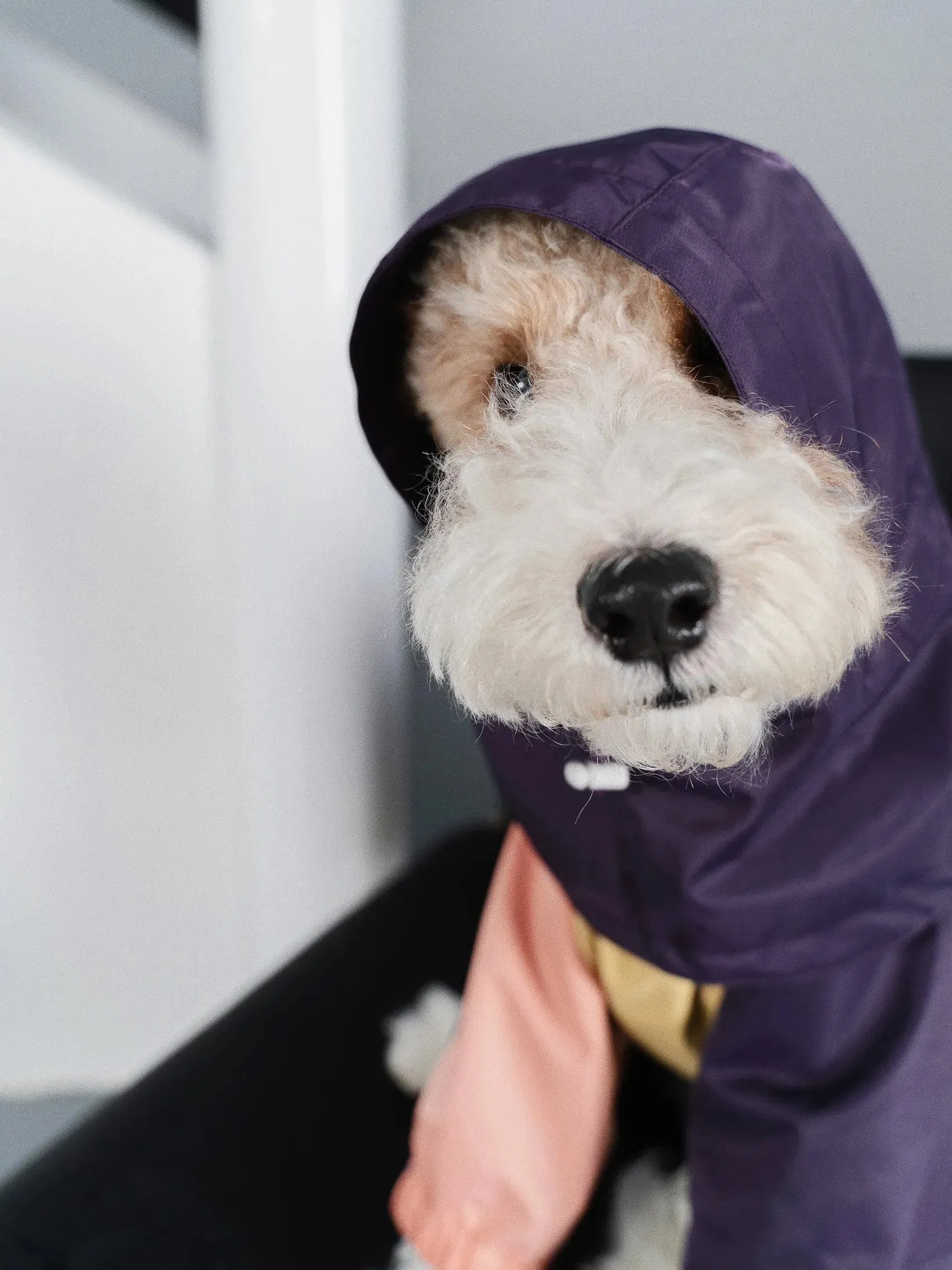 Detachable 4-Leg Dog Raincoat | Peach Khaki