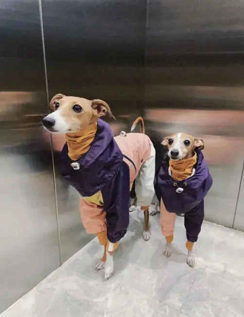Detachable 4-Leg Dog Raincoat | Peach Khaki