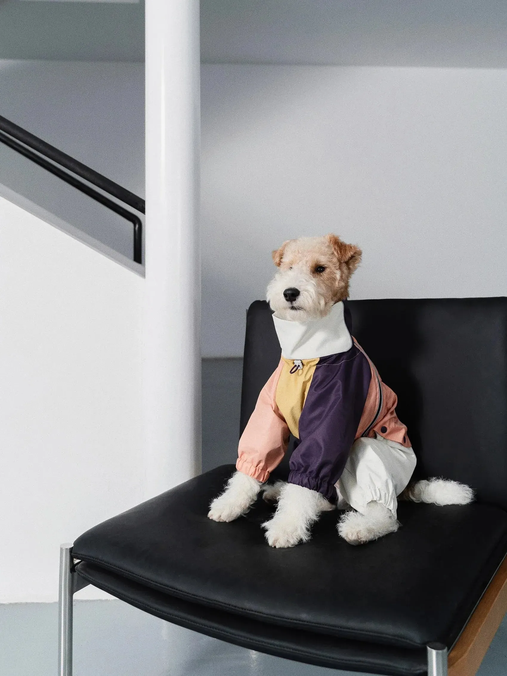 Detachable 4-Leg Dog Raincoat | Peach Khaki