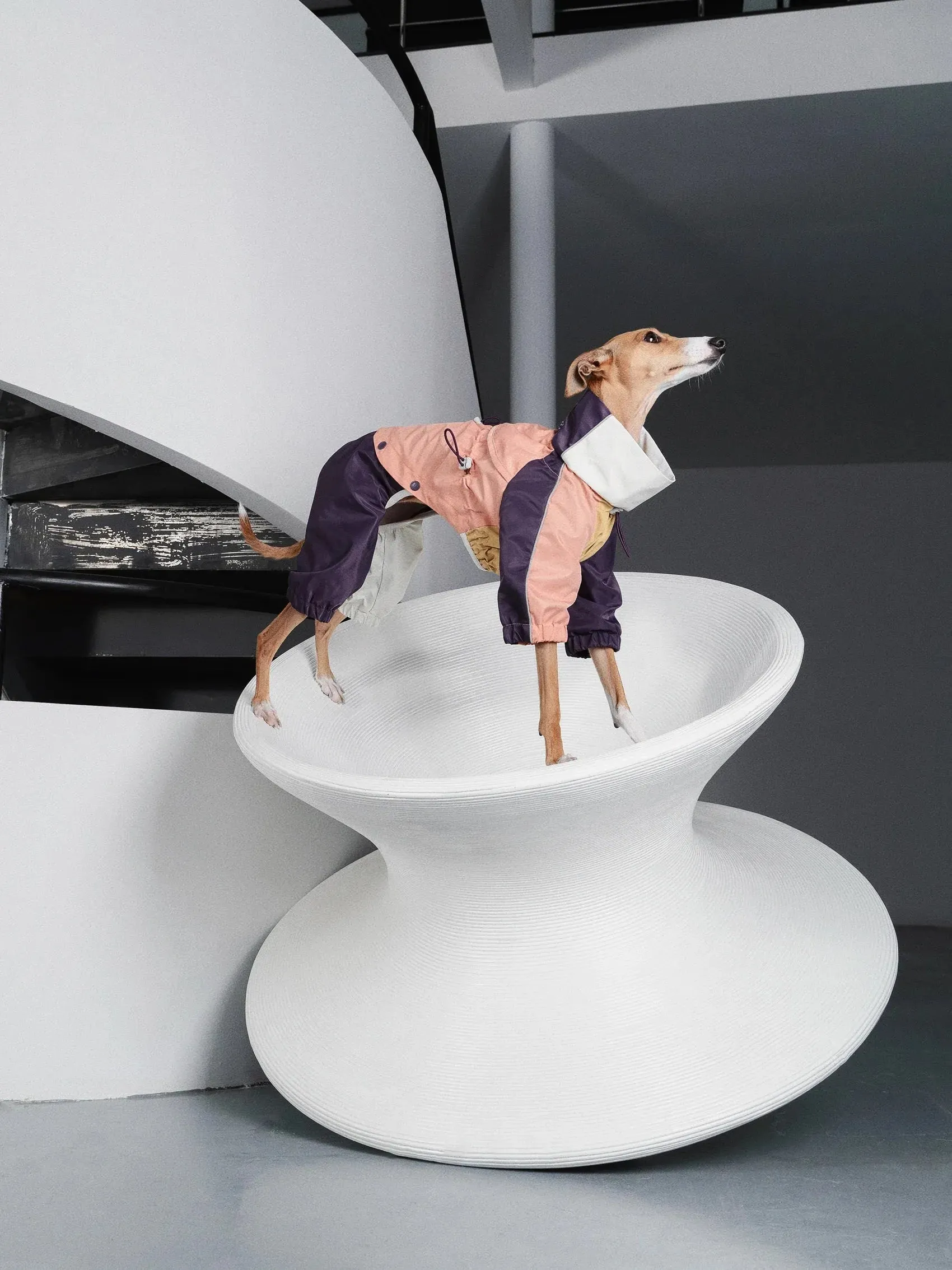 Detachable 4-Leg Dog Raincoat | Peach Khaki