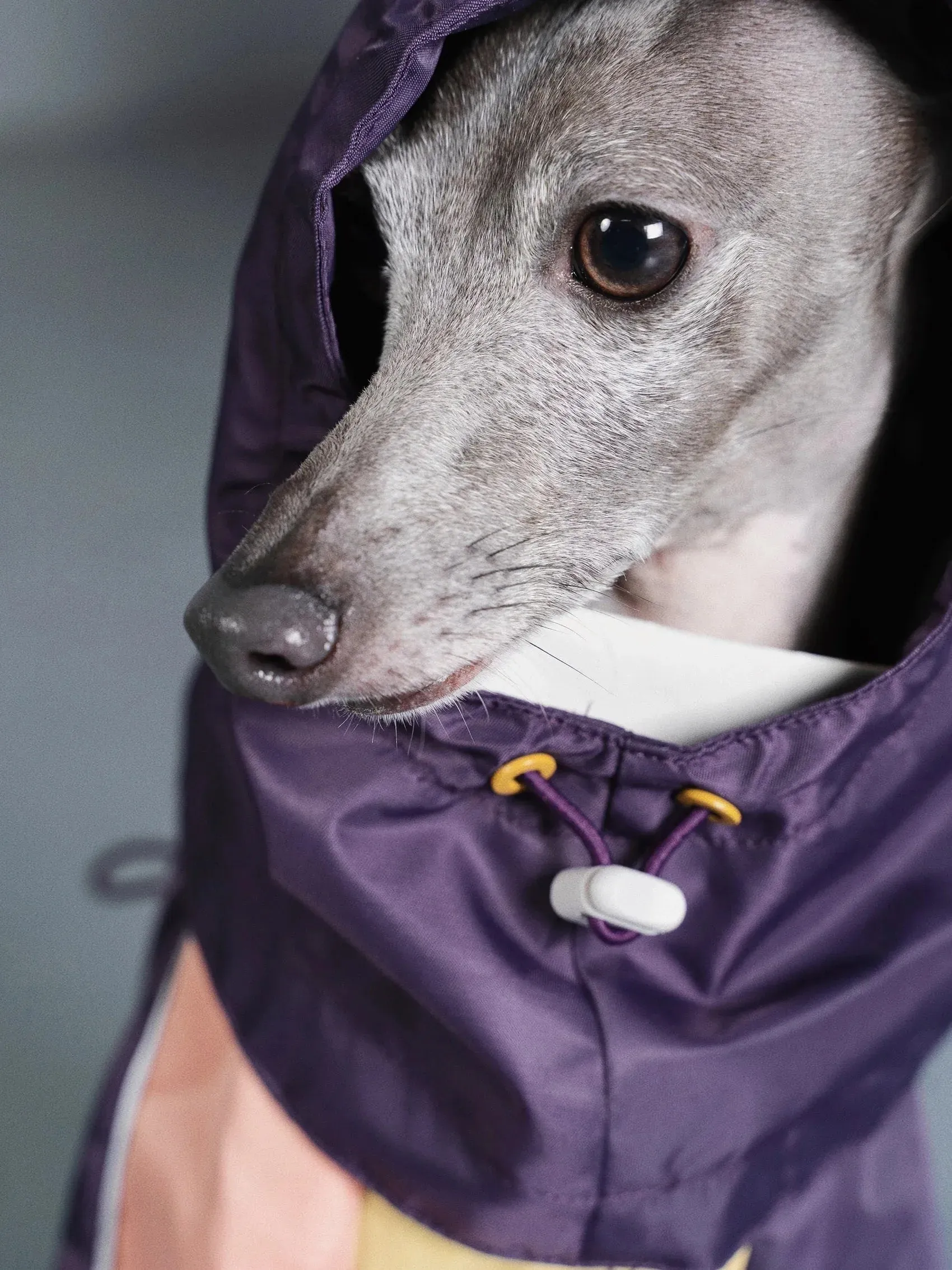 Detachable 4-Leg Dog Raincoat | Peach Khaki