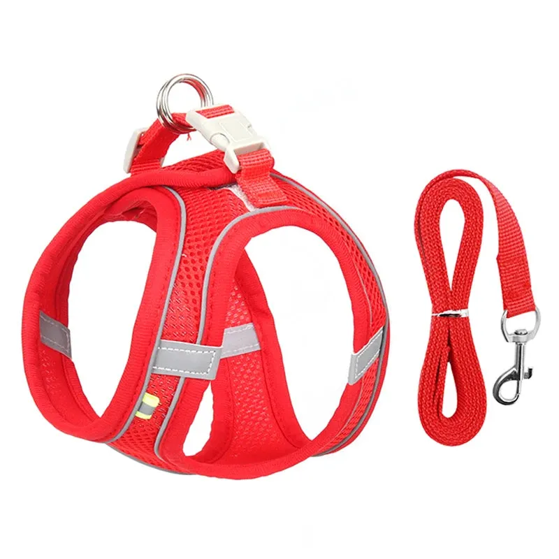 Dog Harness Leash Set - Vest Harness for Puppies and Cats - Outdoor Walking Lead