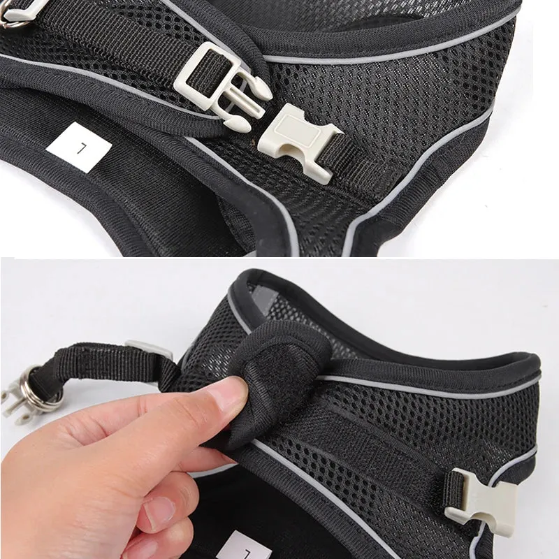 Dog Harness Leash Set - Vest Harness for Puppies and Cats - Outdoor Walking Lead
